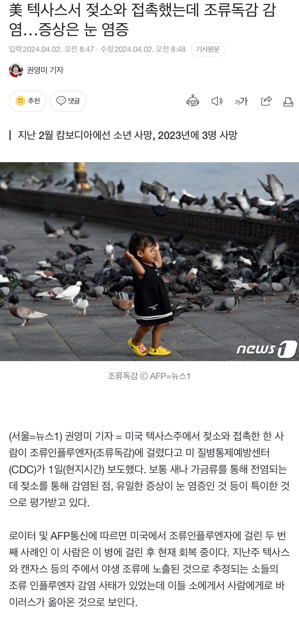 게시글 이미지