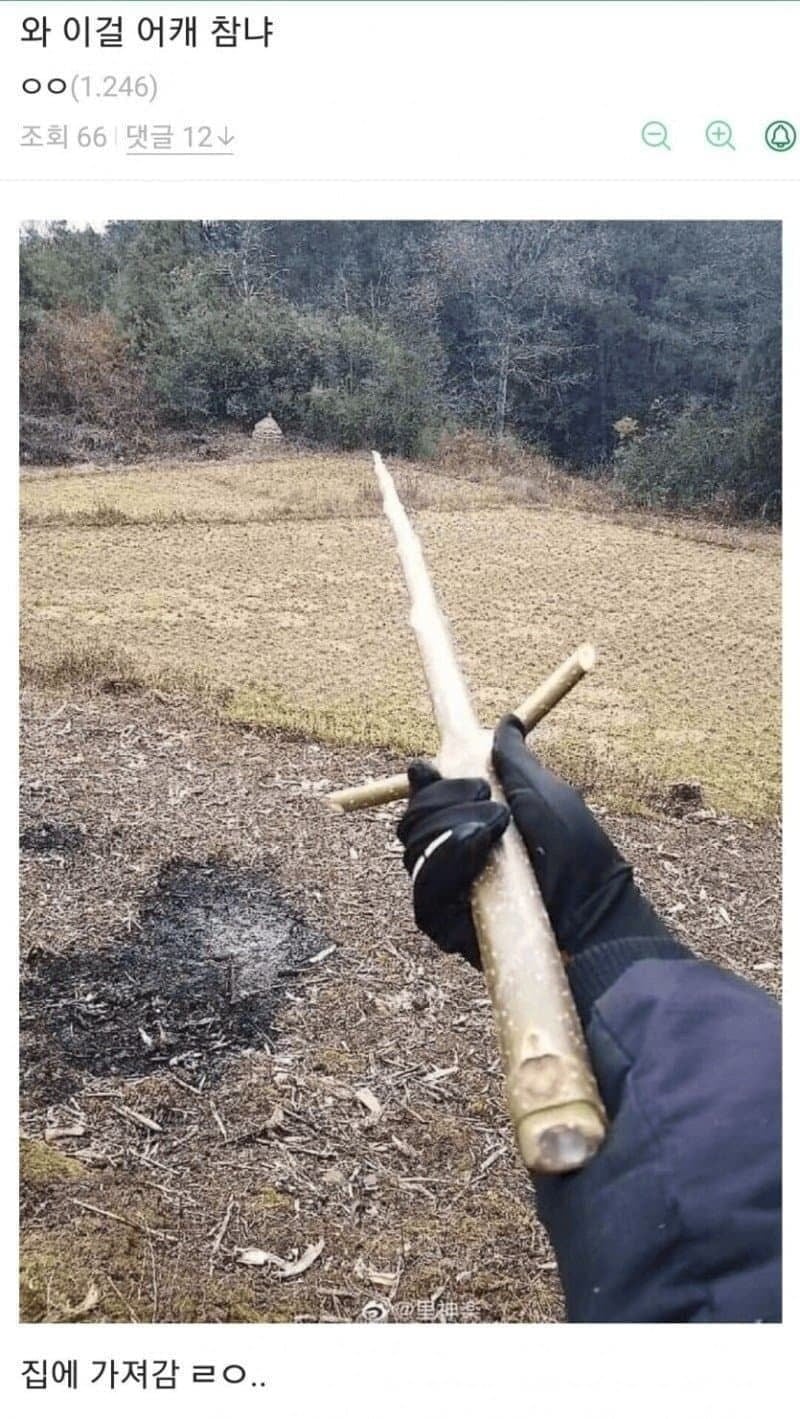 게시글 이미지