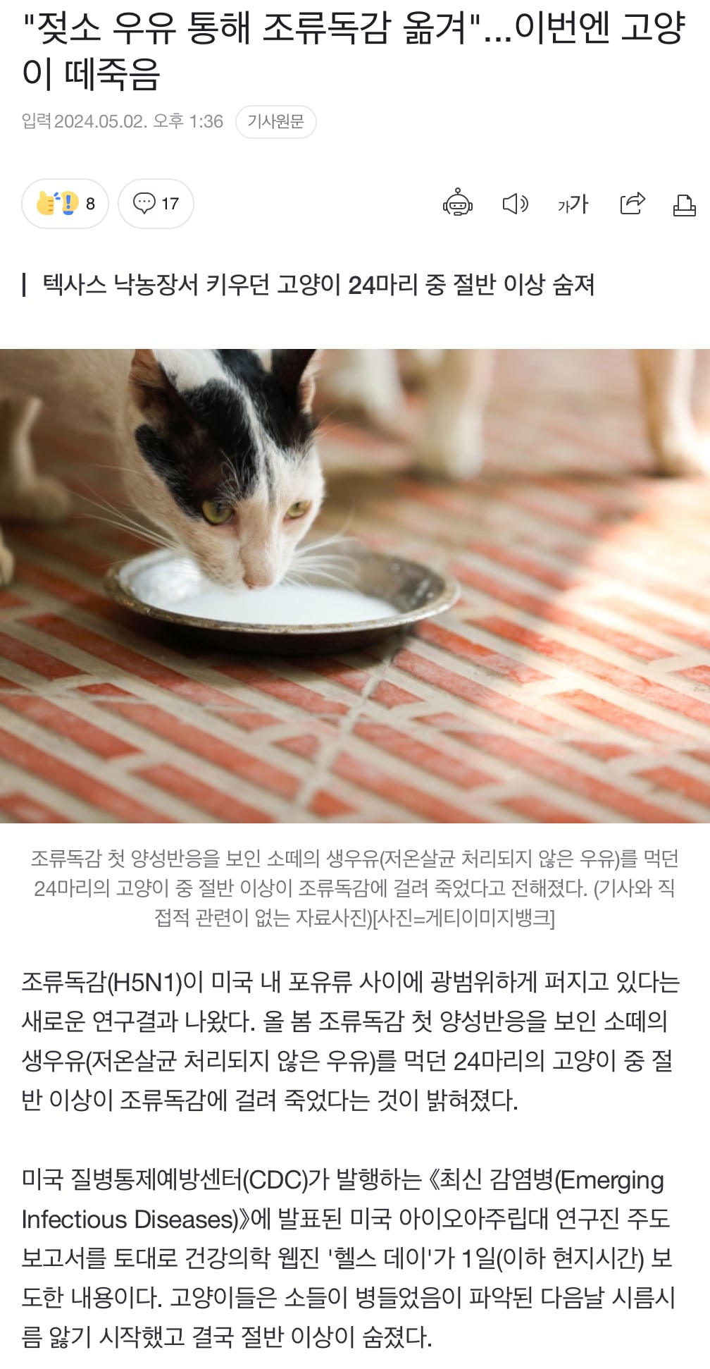 게시글 이미지