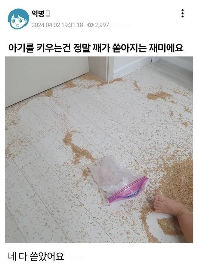 게시글 이미지