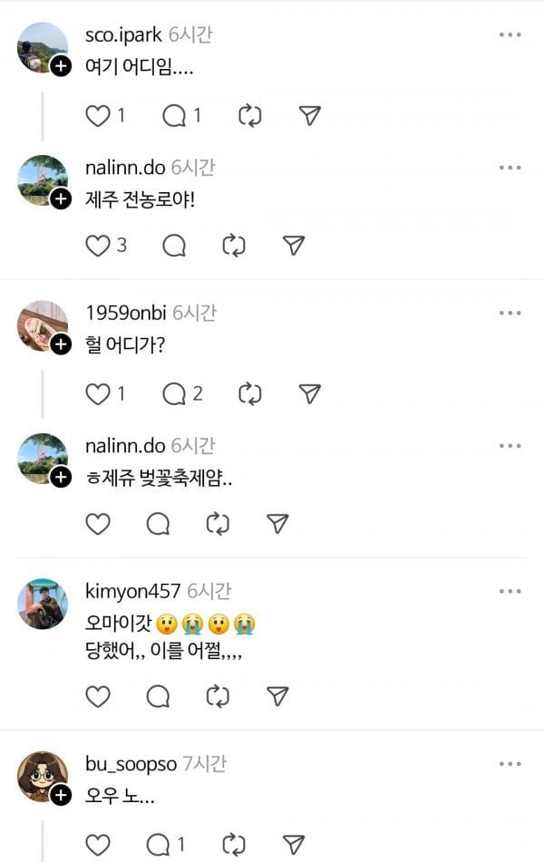 게시글 이미지