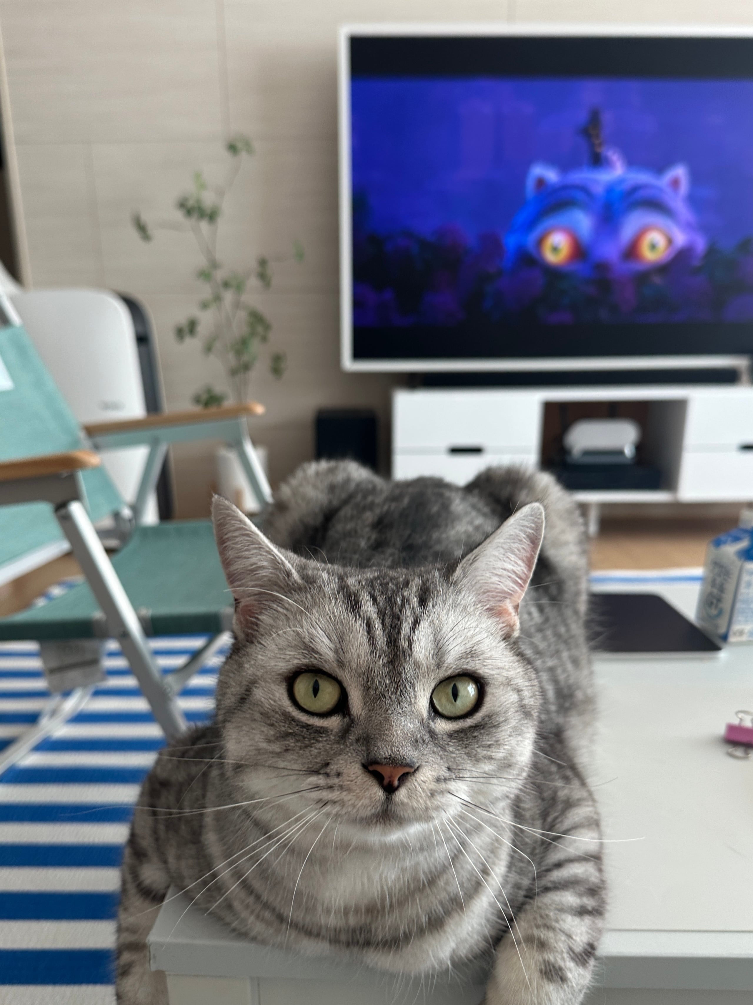 게시글 이미지