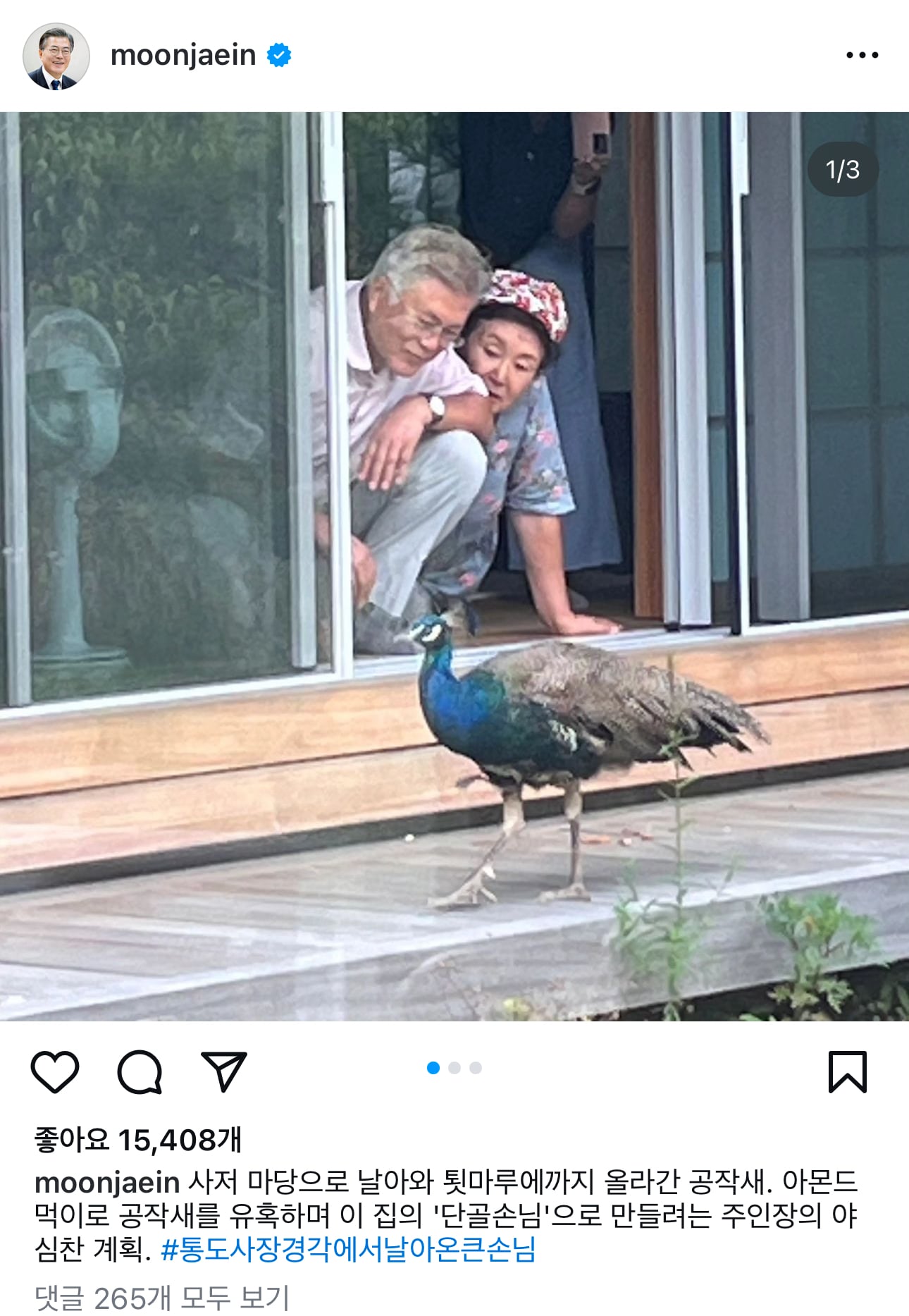 게시글 이미지