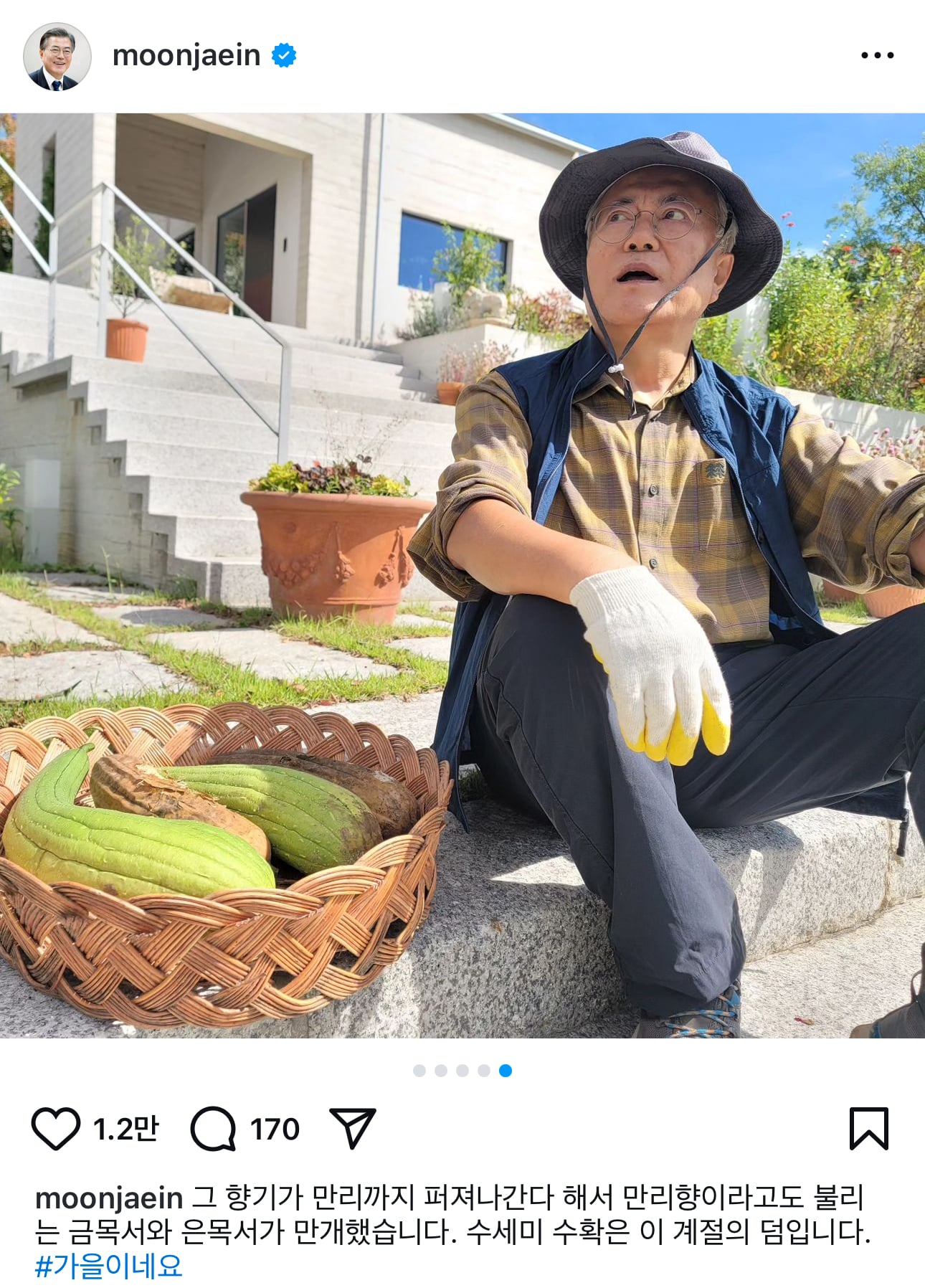 게시글 이미지