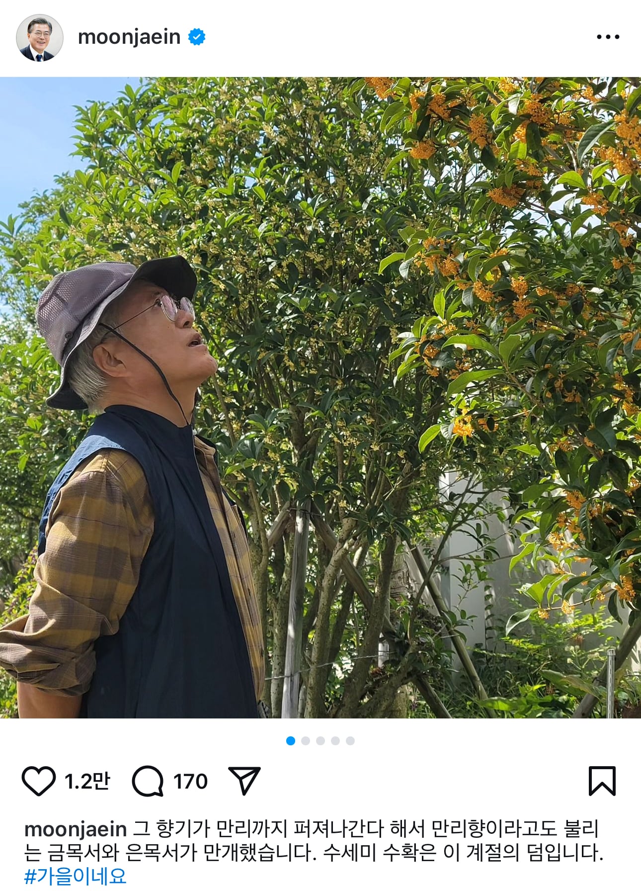 게시글 이미지