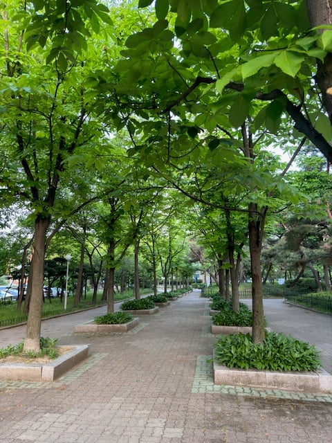 게시글 이미지