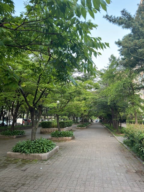 게시글 이미지