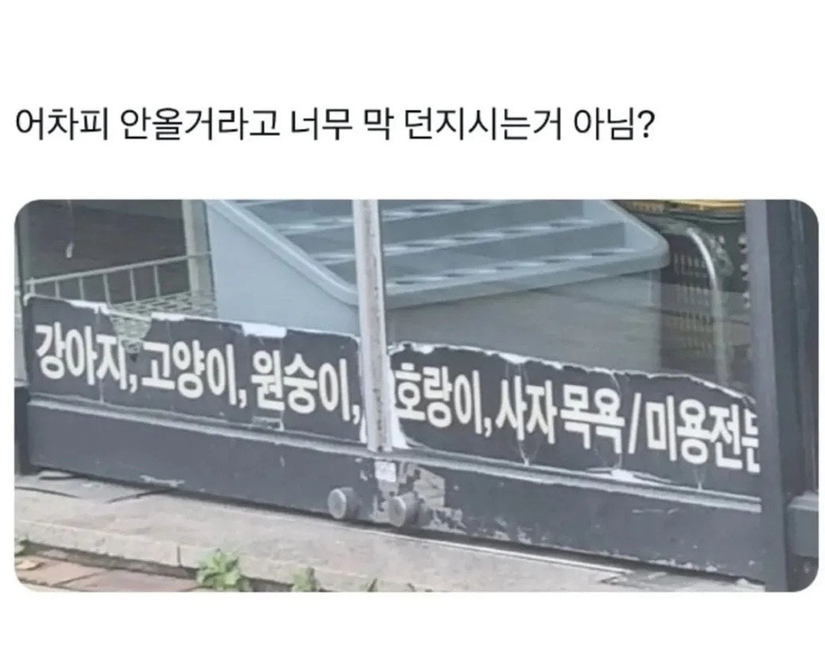 게시글 이미지