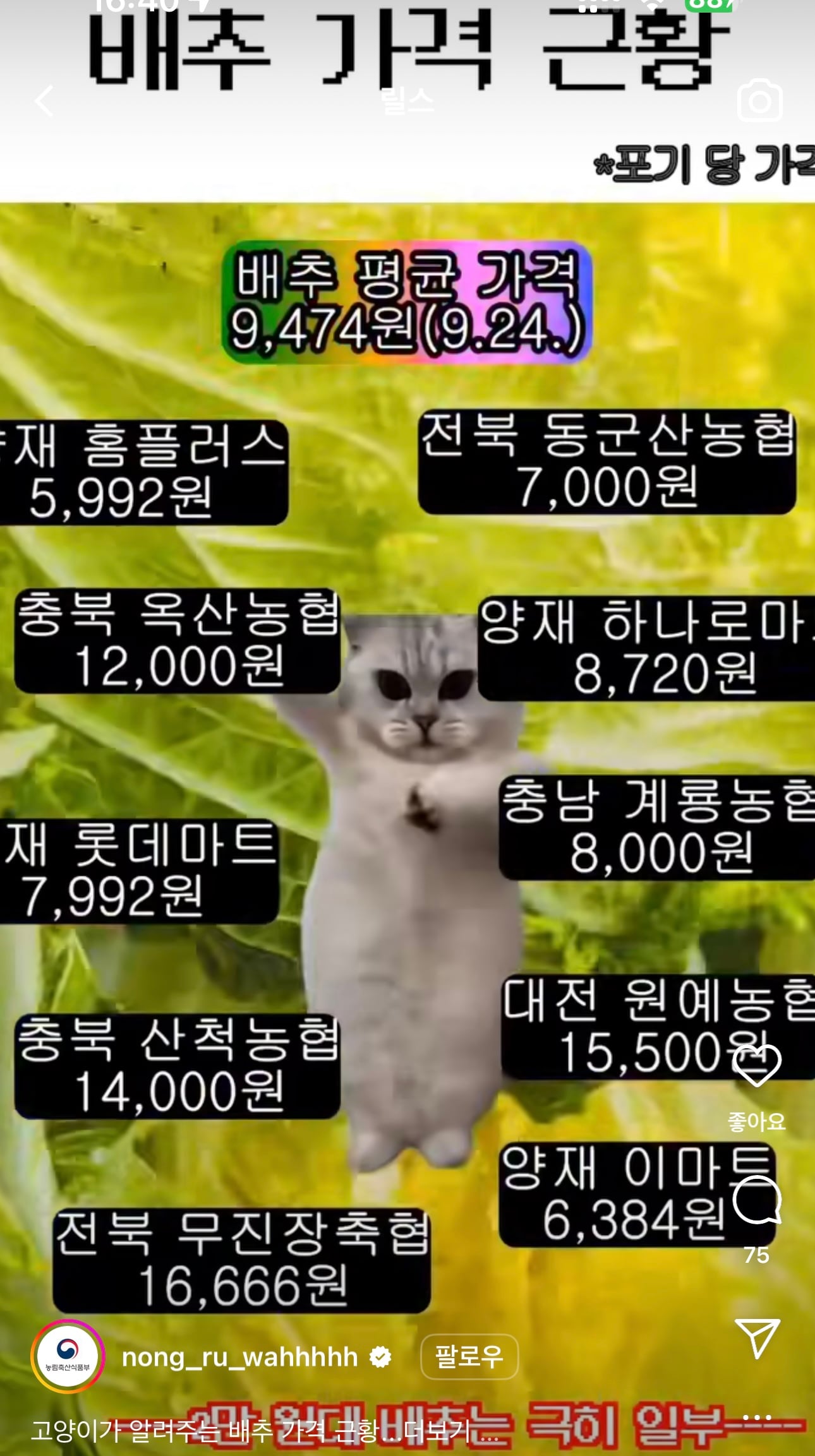 게시글 이미지