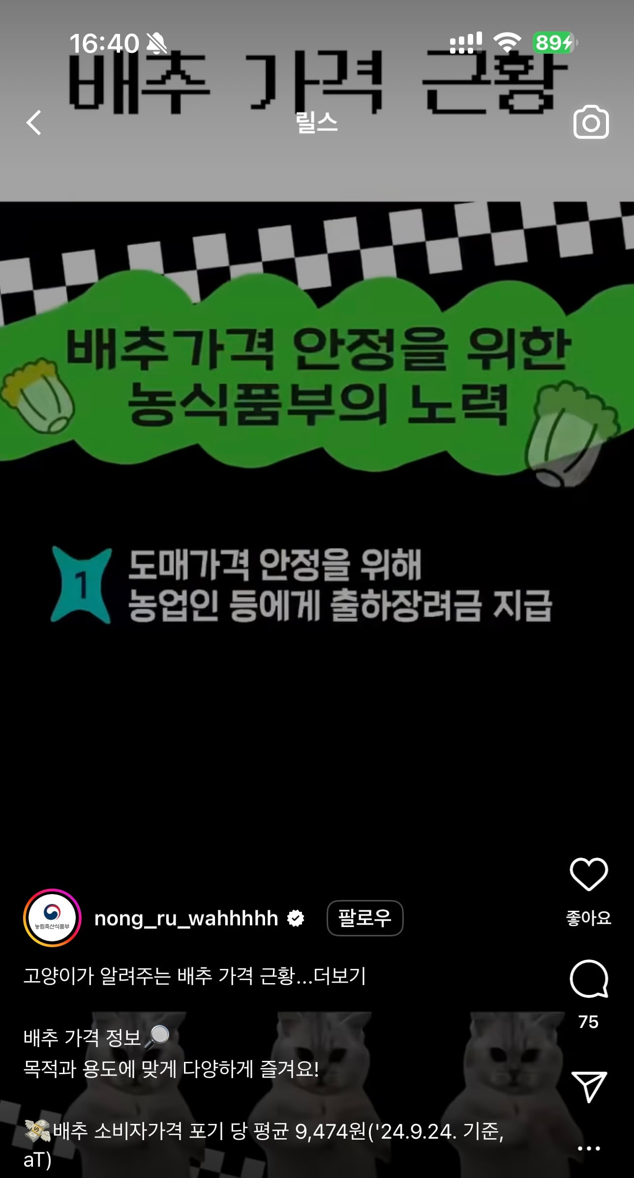 게시글 이미지