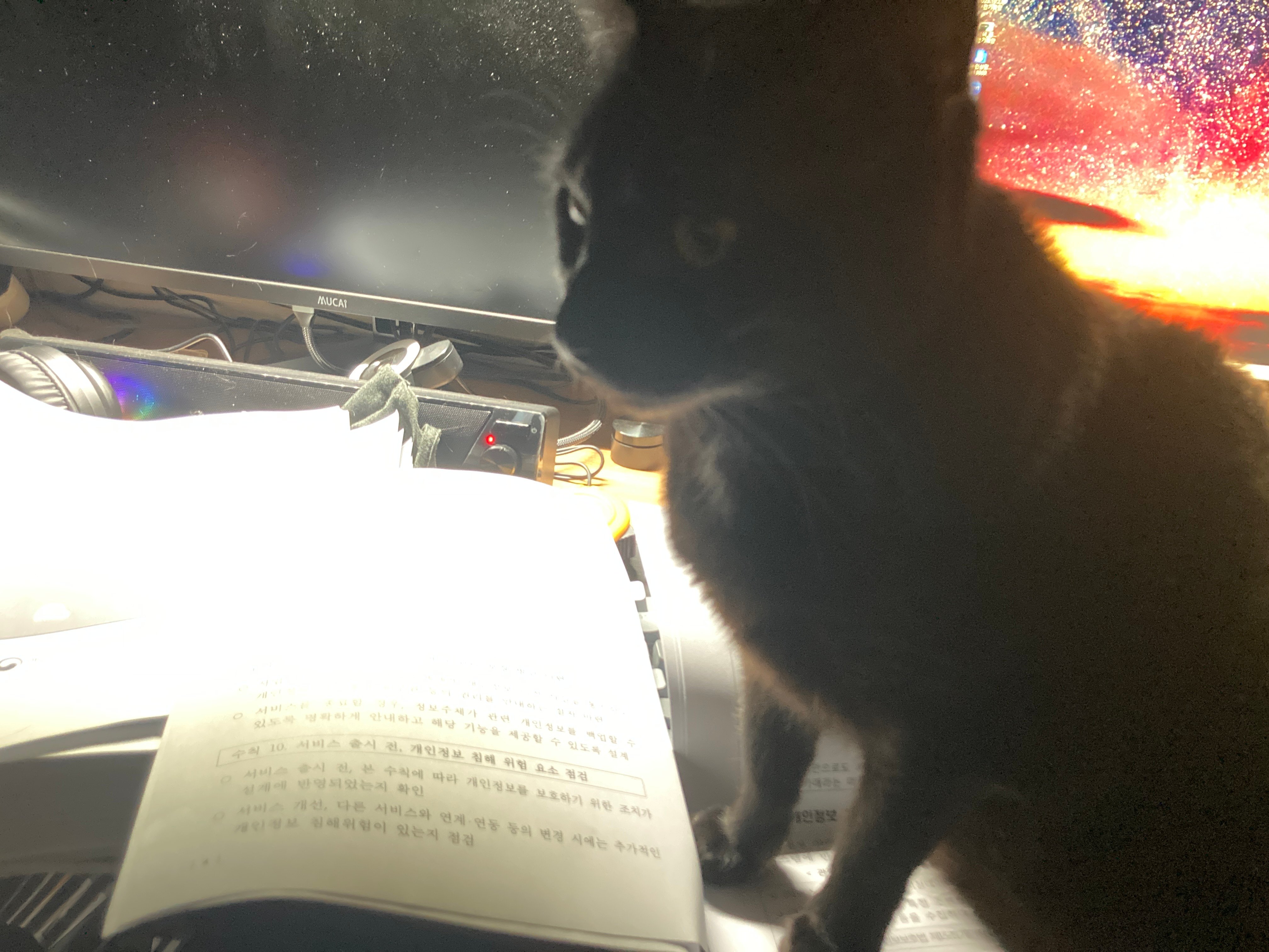 게시글 이미지