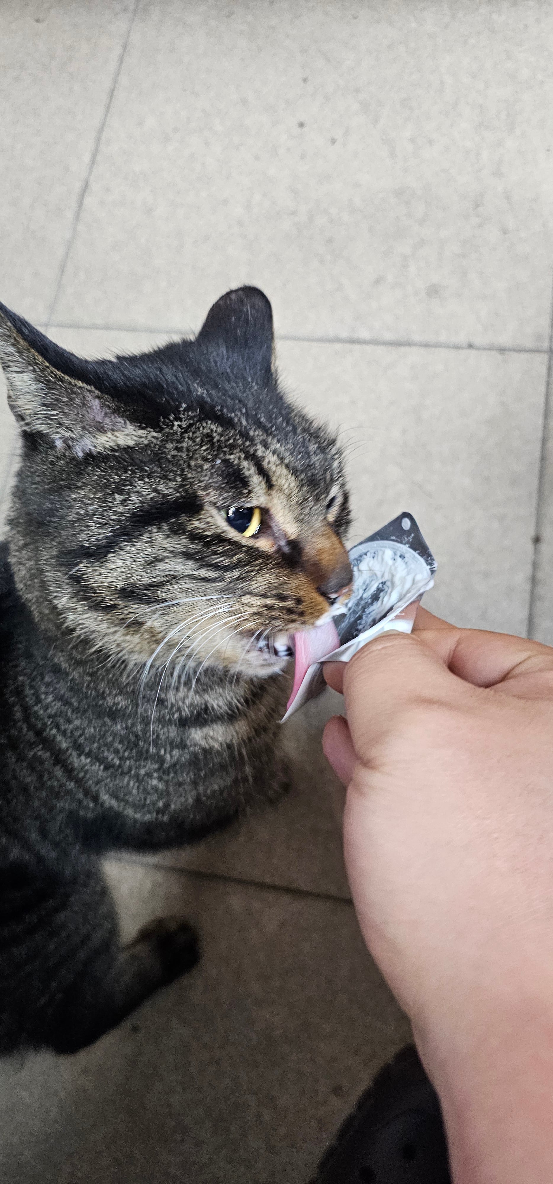 게시글 이미지