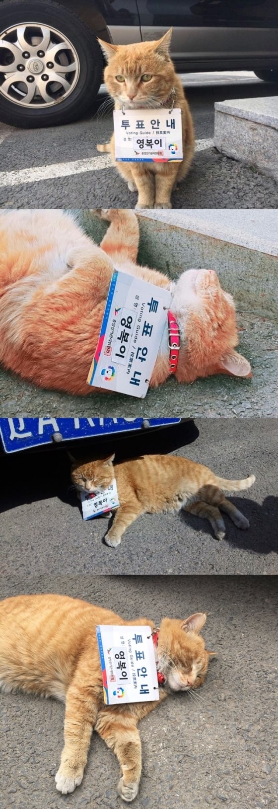 게시글 이미지