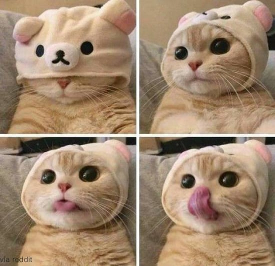 게시글 이미지