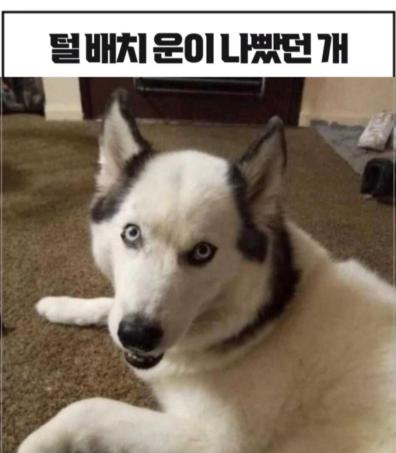 게시글 이미지