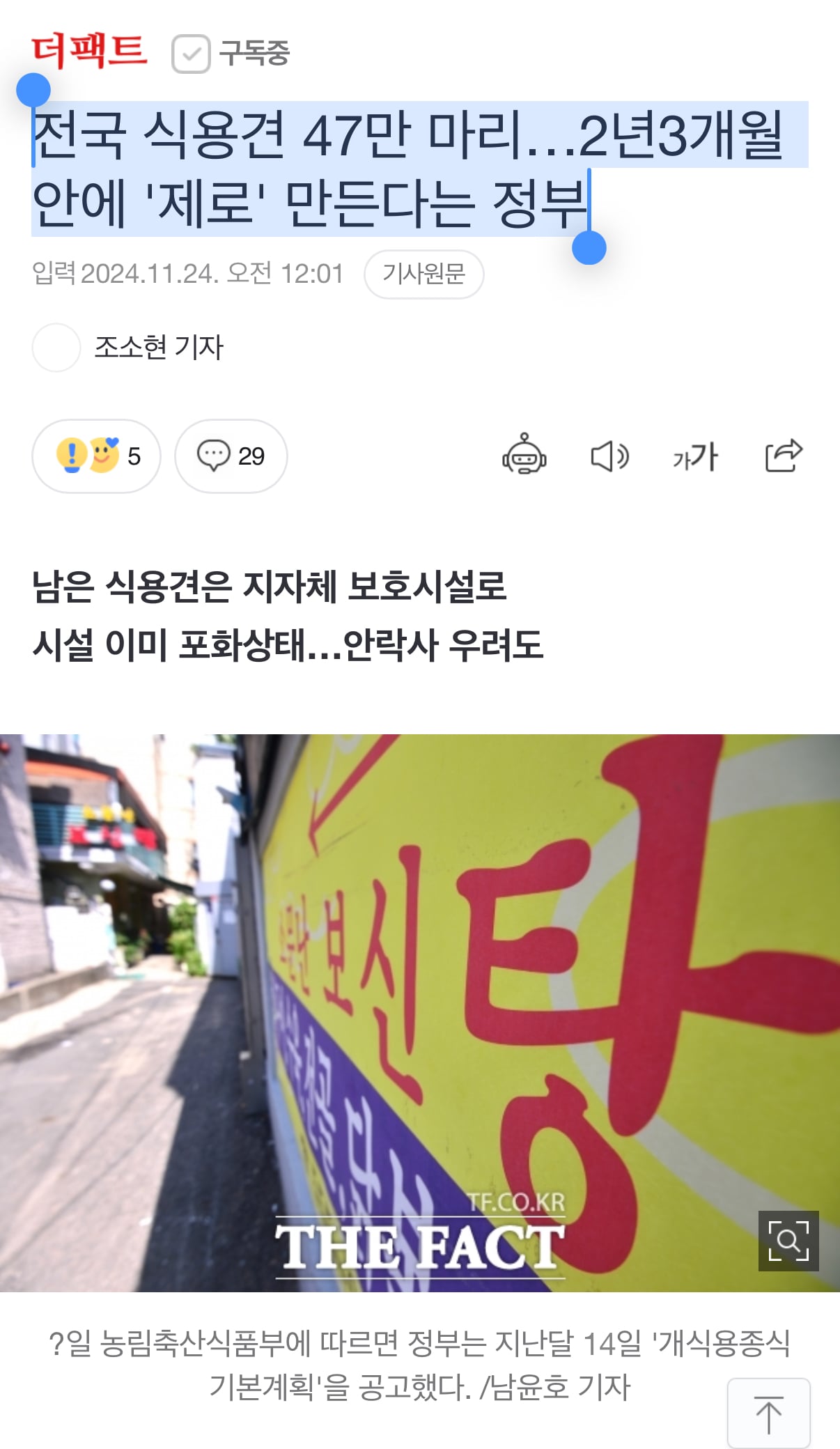게시글 이미지