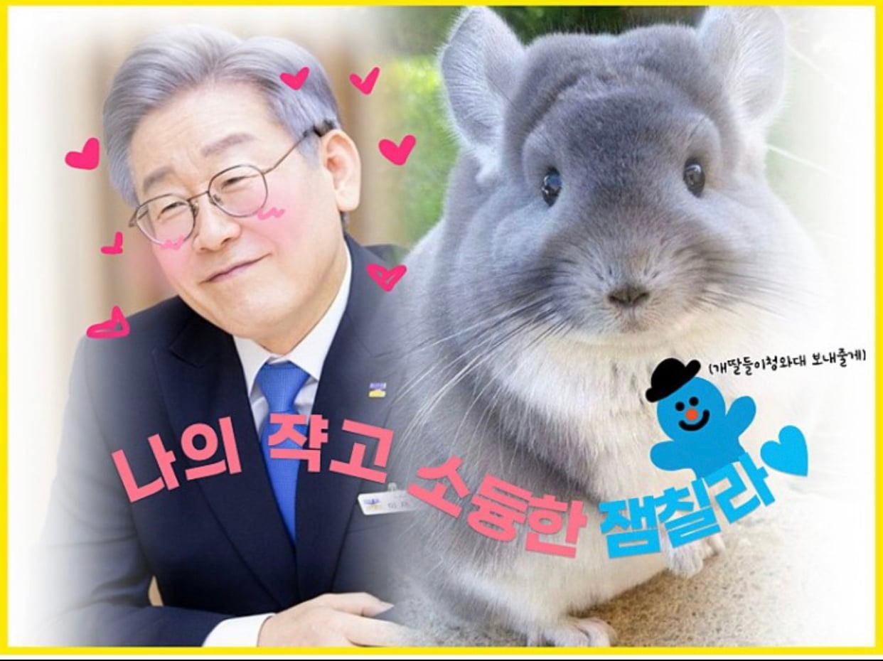 게시글 이미지
