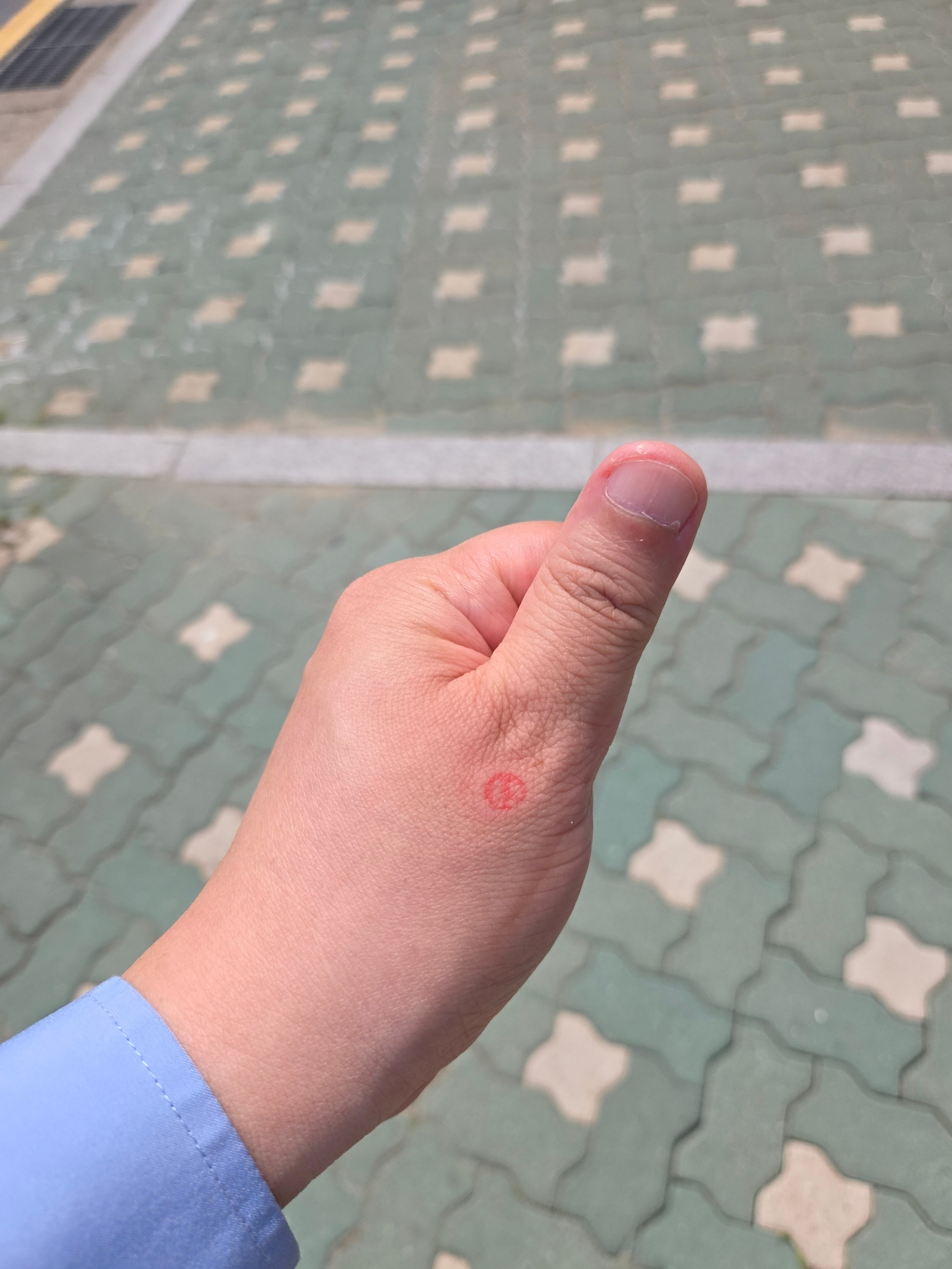 게시글 이미지