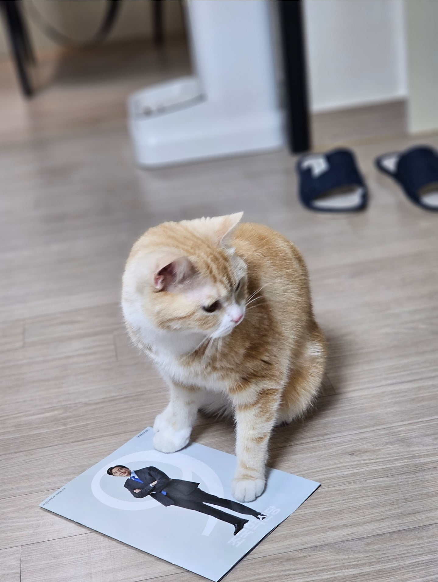 게시글 이미지