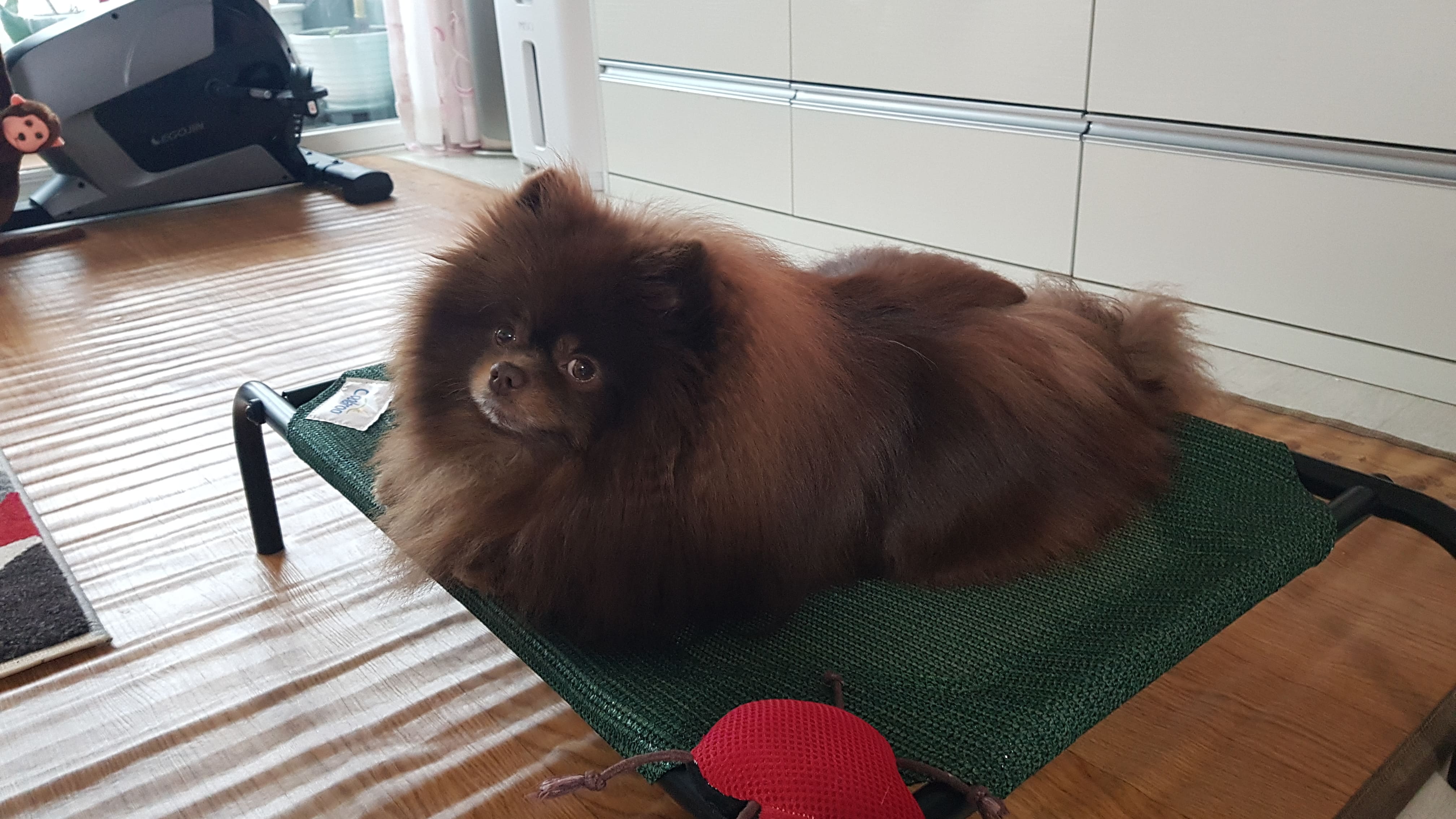 게시글 이미지