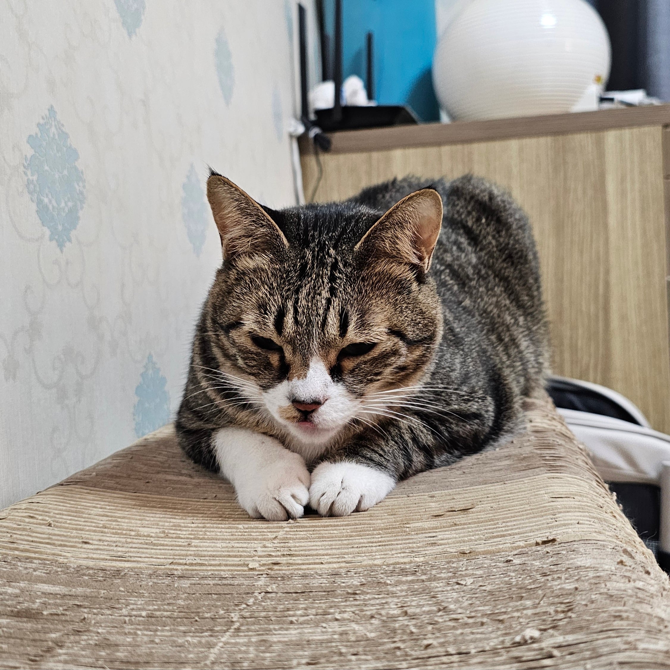 게시글 이미지