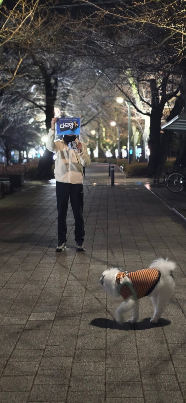 게시글 이미지