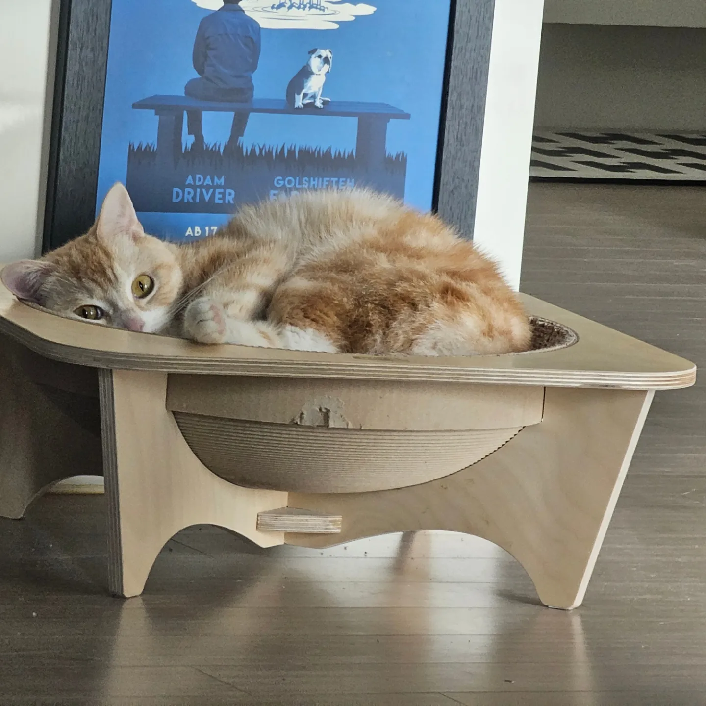 게시글 이미지