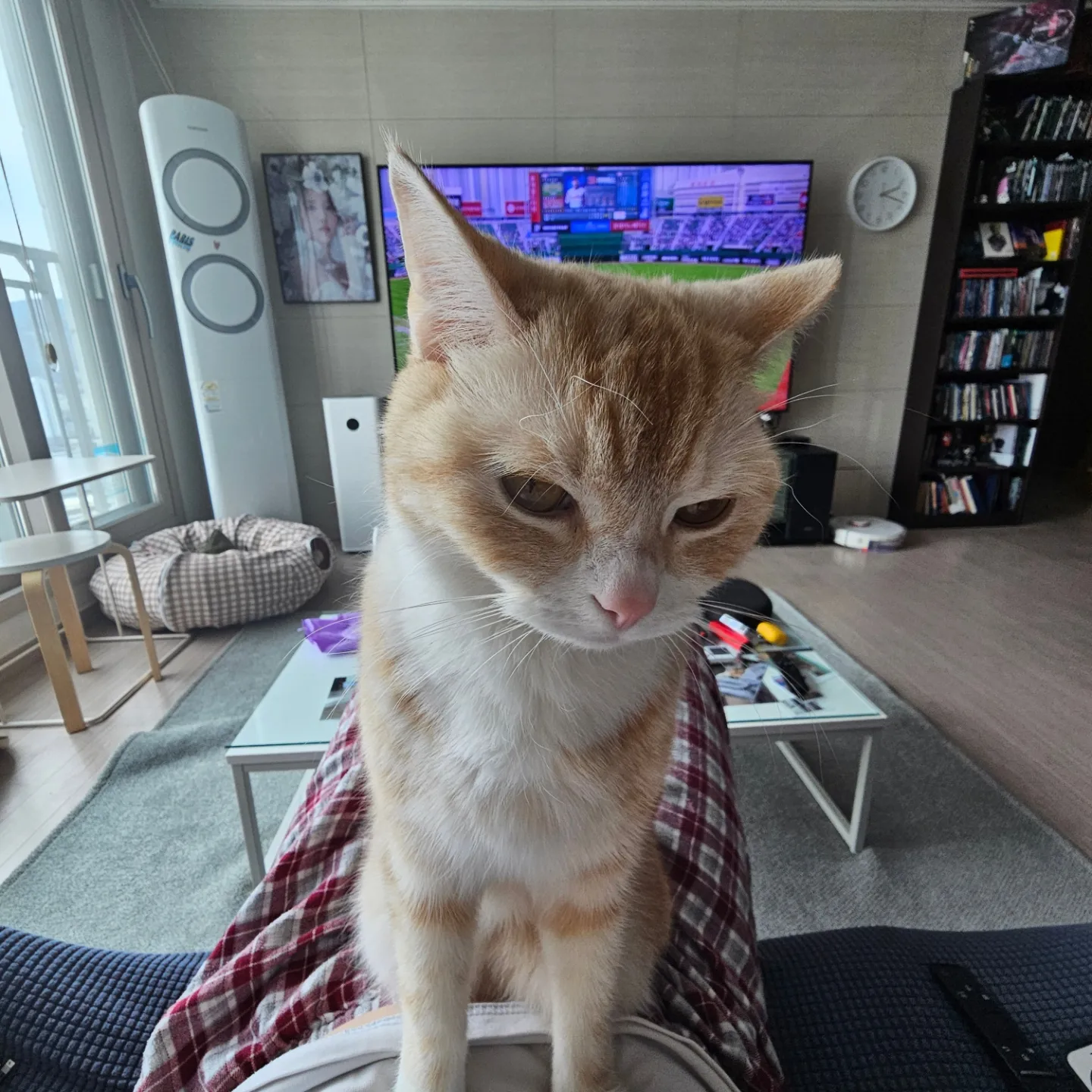 게시글 이미지
