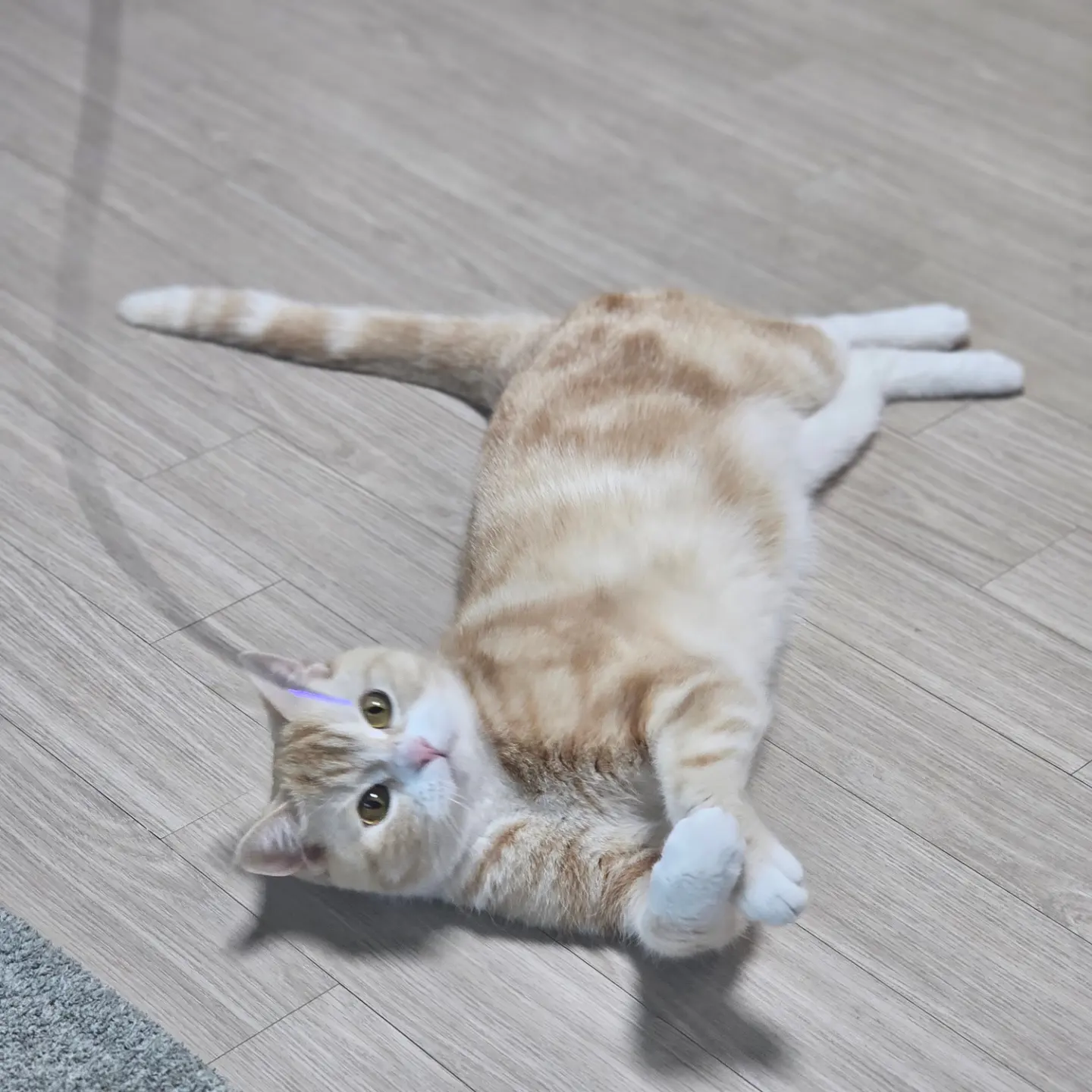 게시글 이미지