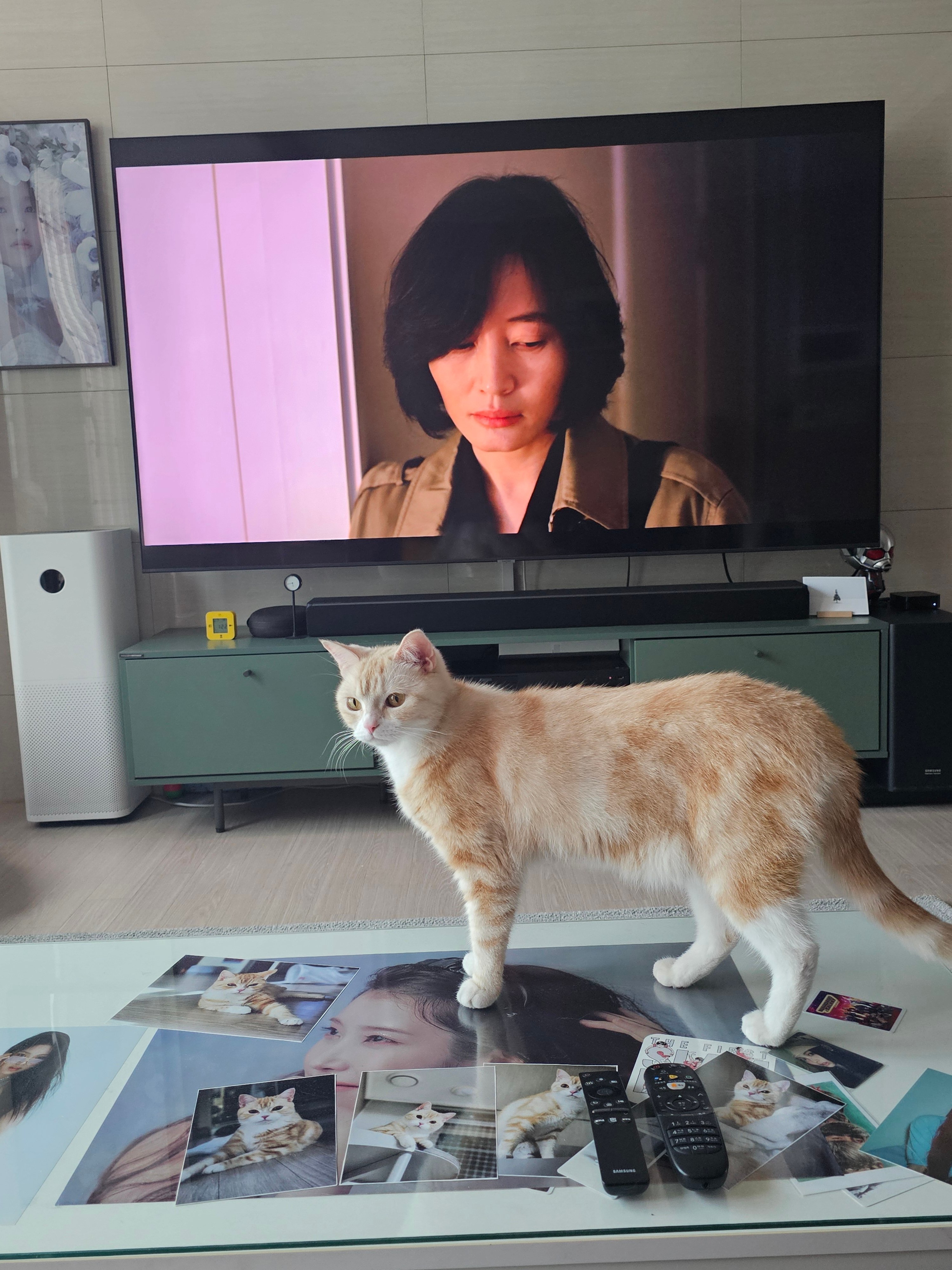 게시글 이미지