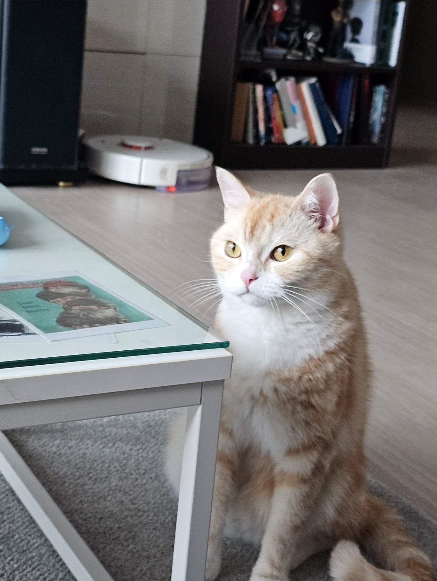 게시글 이미지