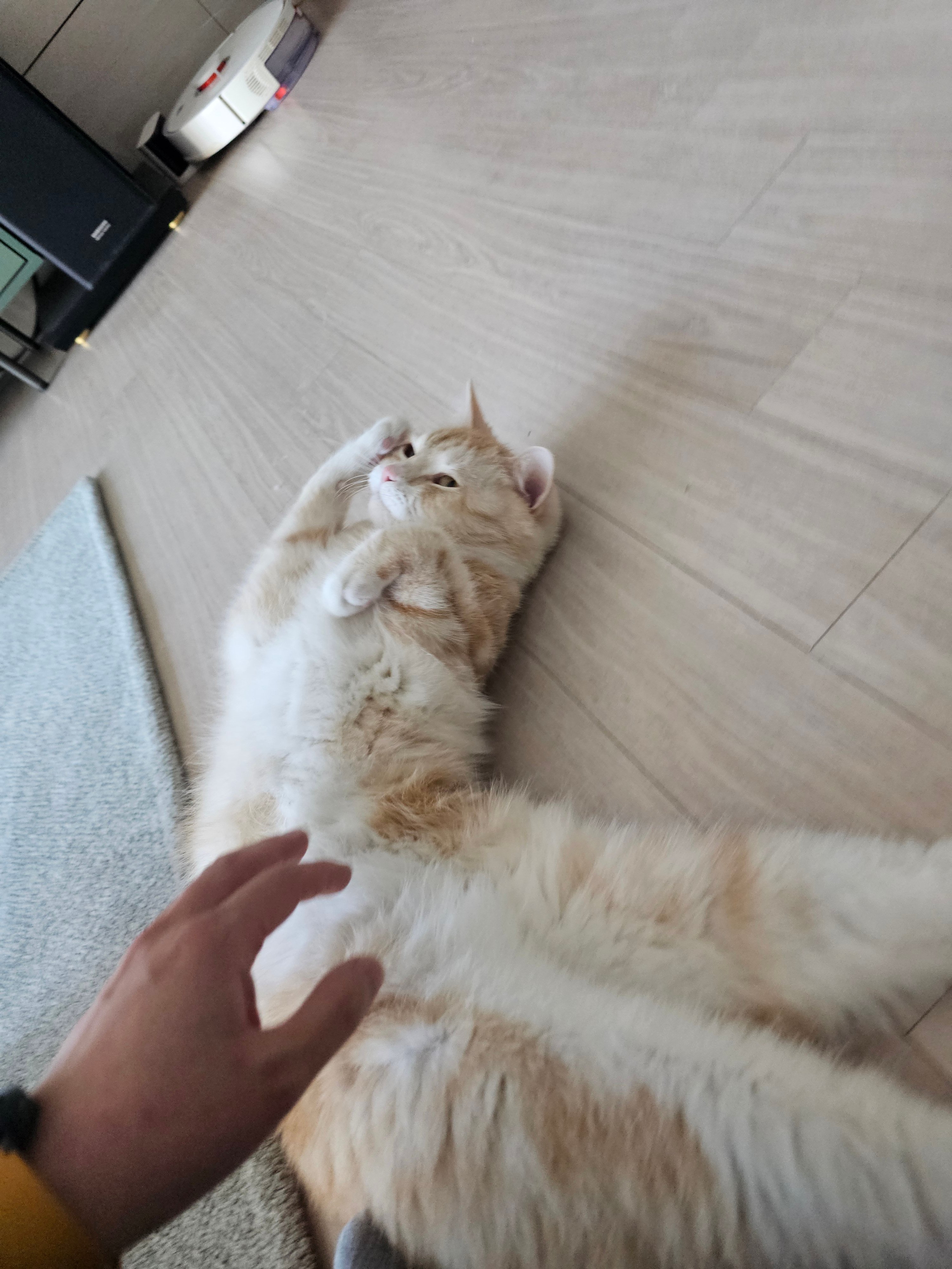 게시글 이미지