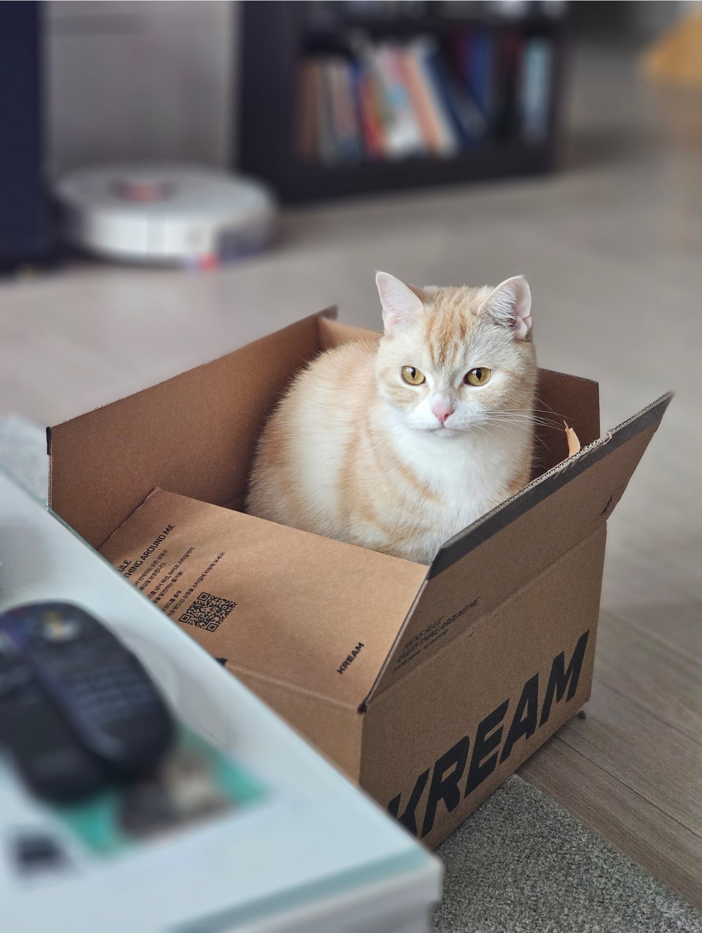 게시글 이미지