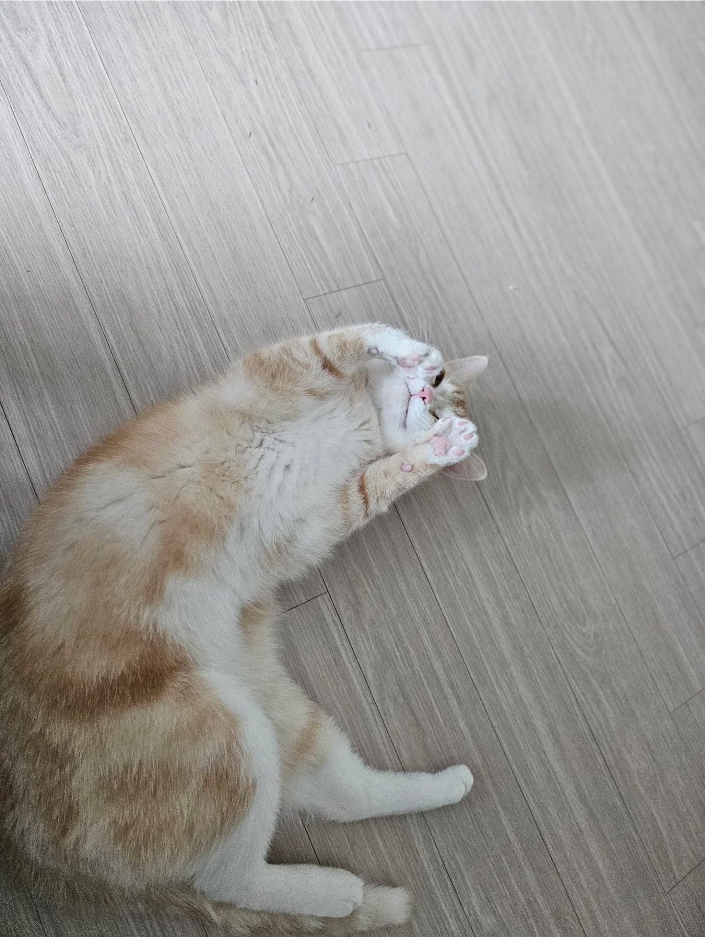 게시글 이미지