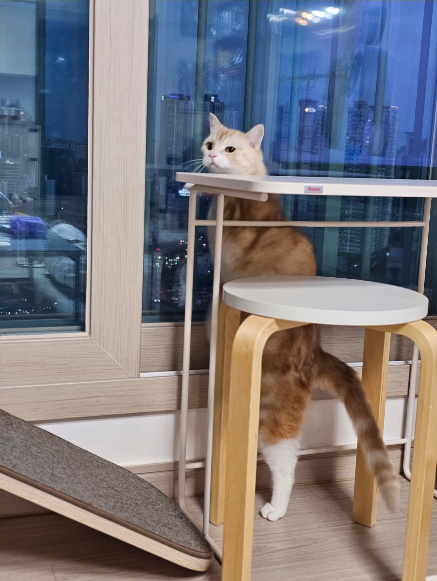 게시글 이미지