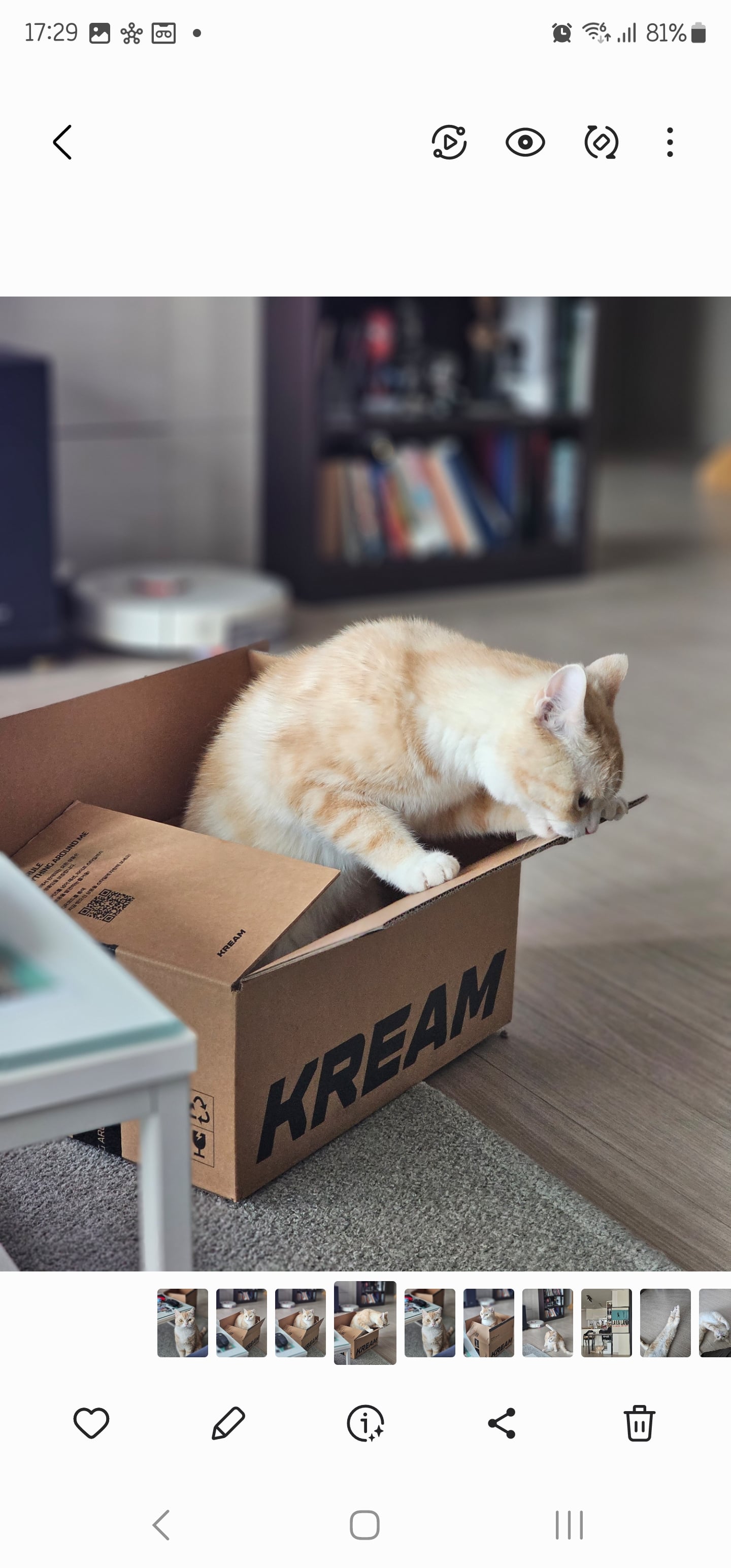 게시글 이미지