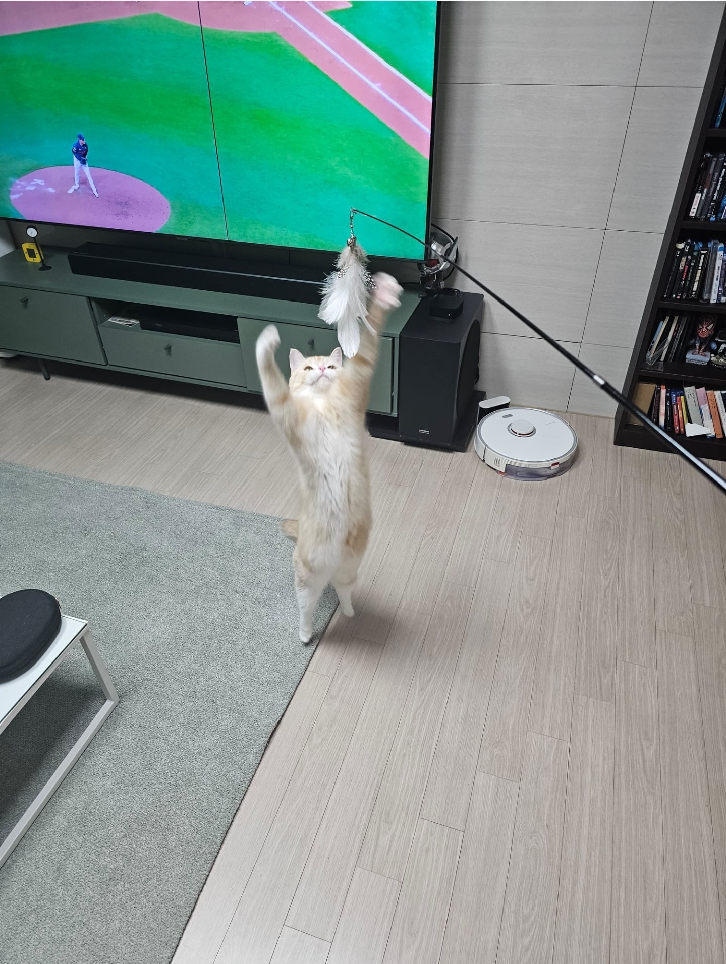 게시글 이미지