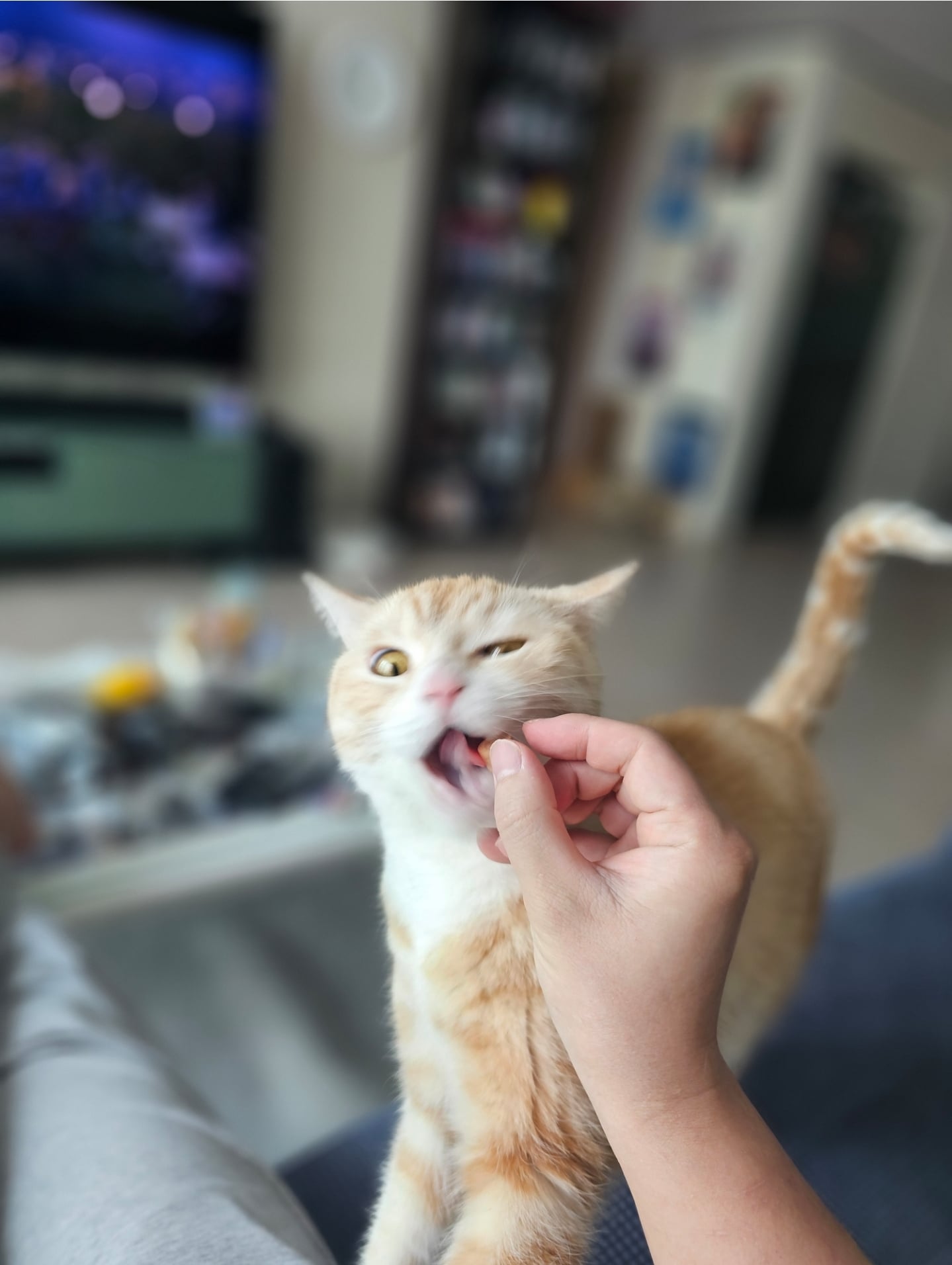 게시글 이미지