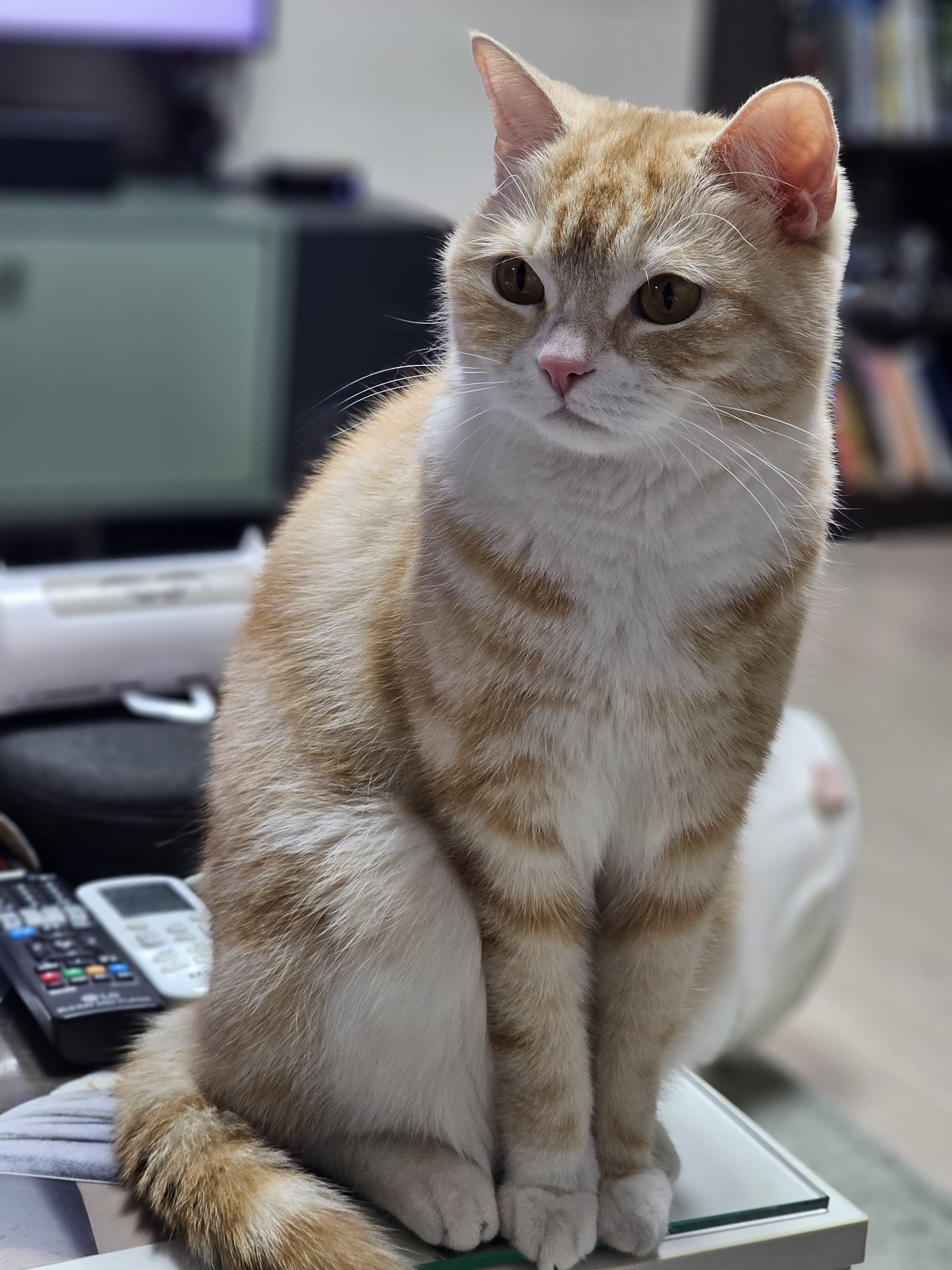 게시글 이미지
