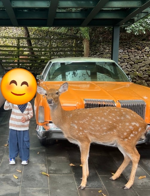게시글 이미지