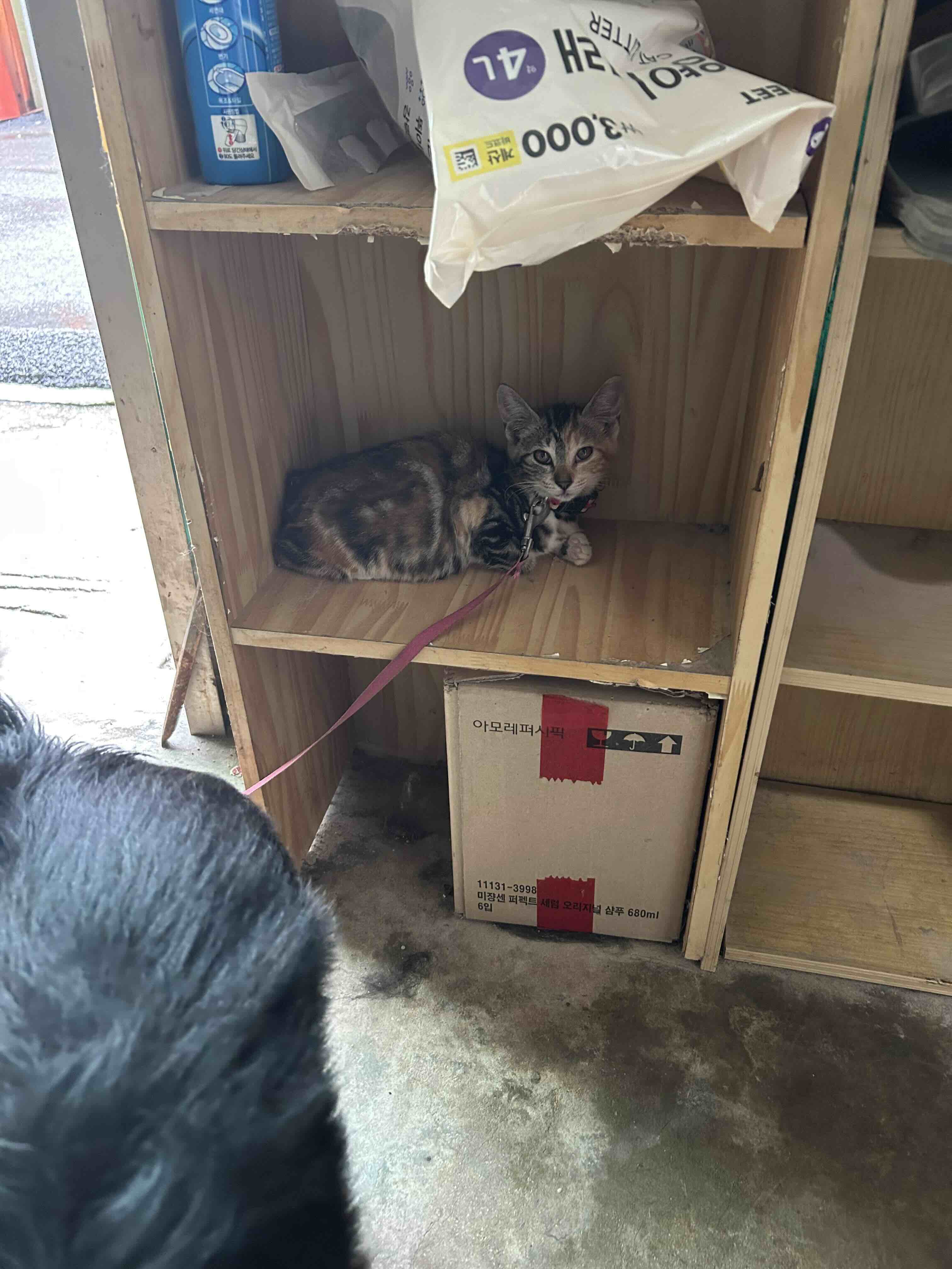 게시글 이미지