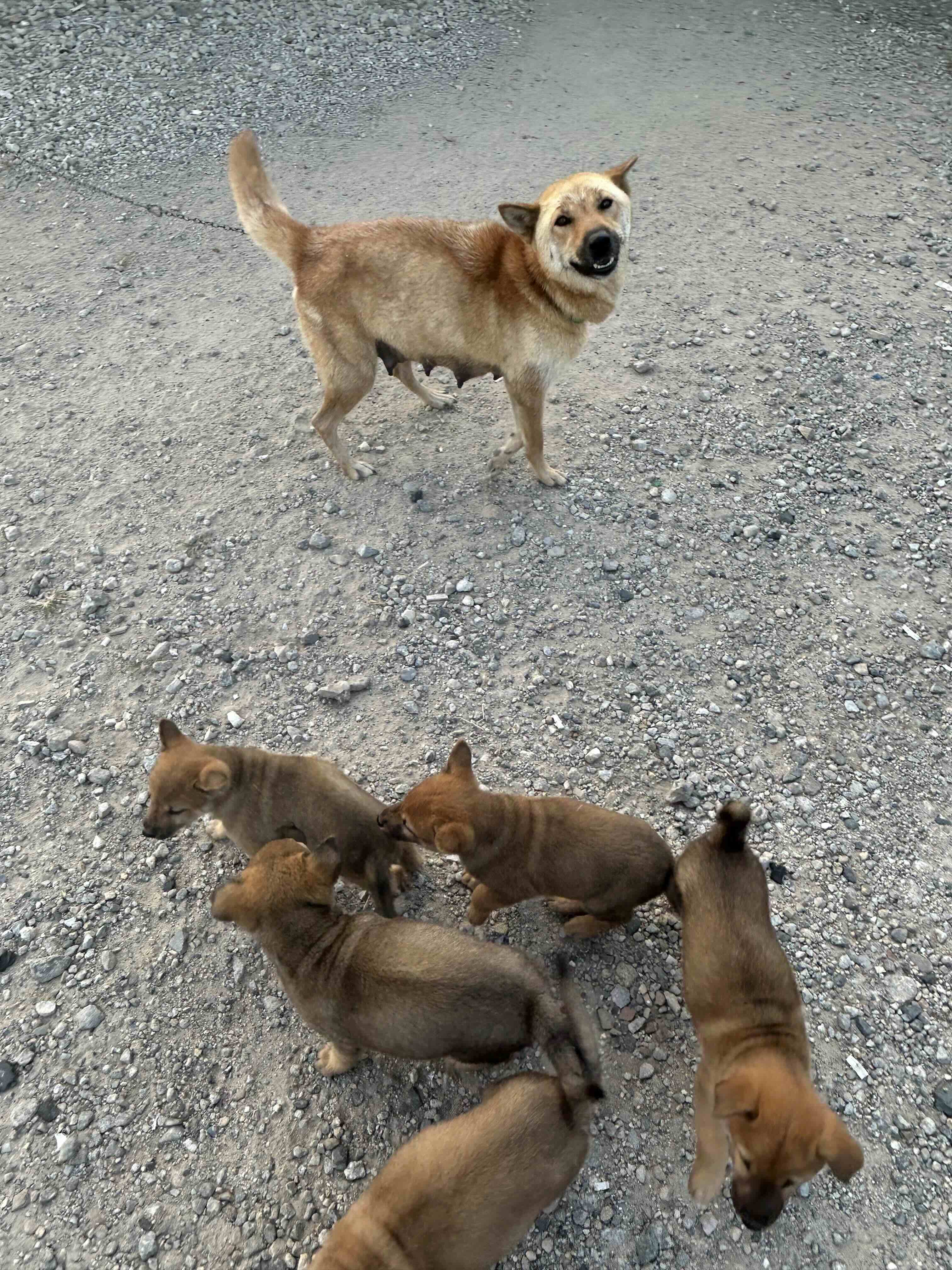 게시글 이미지
