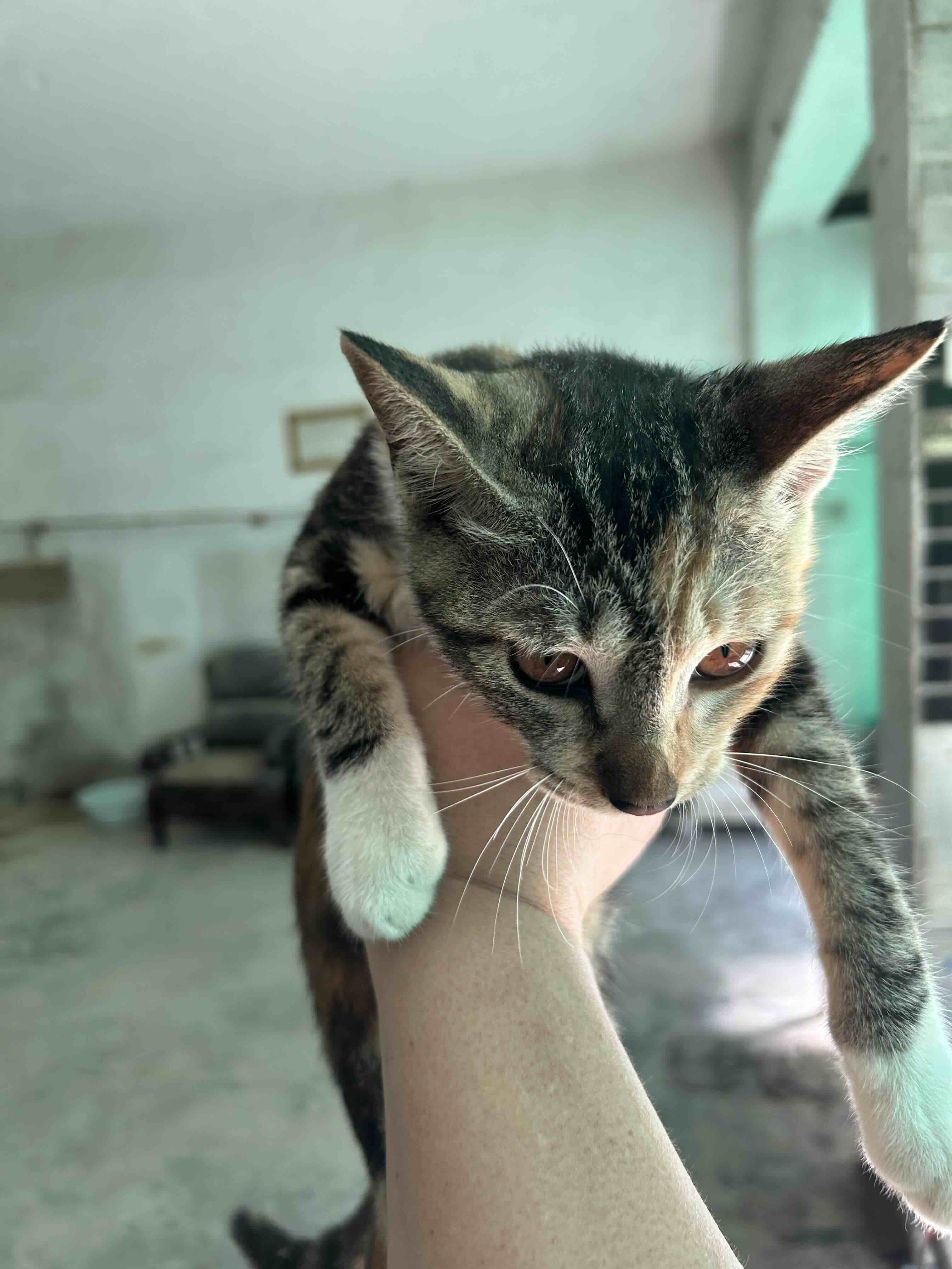 게시글 이미지