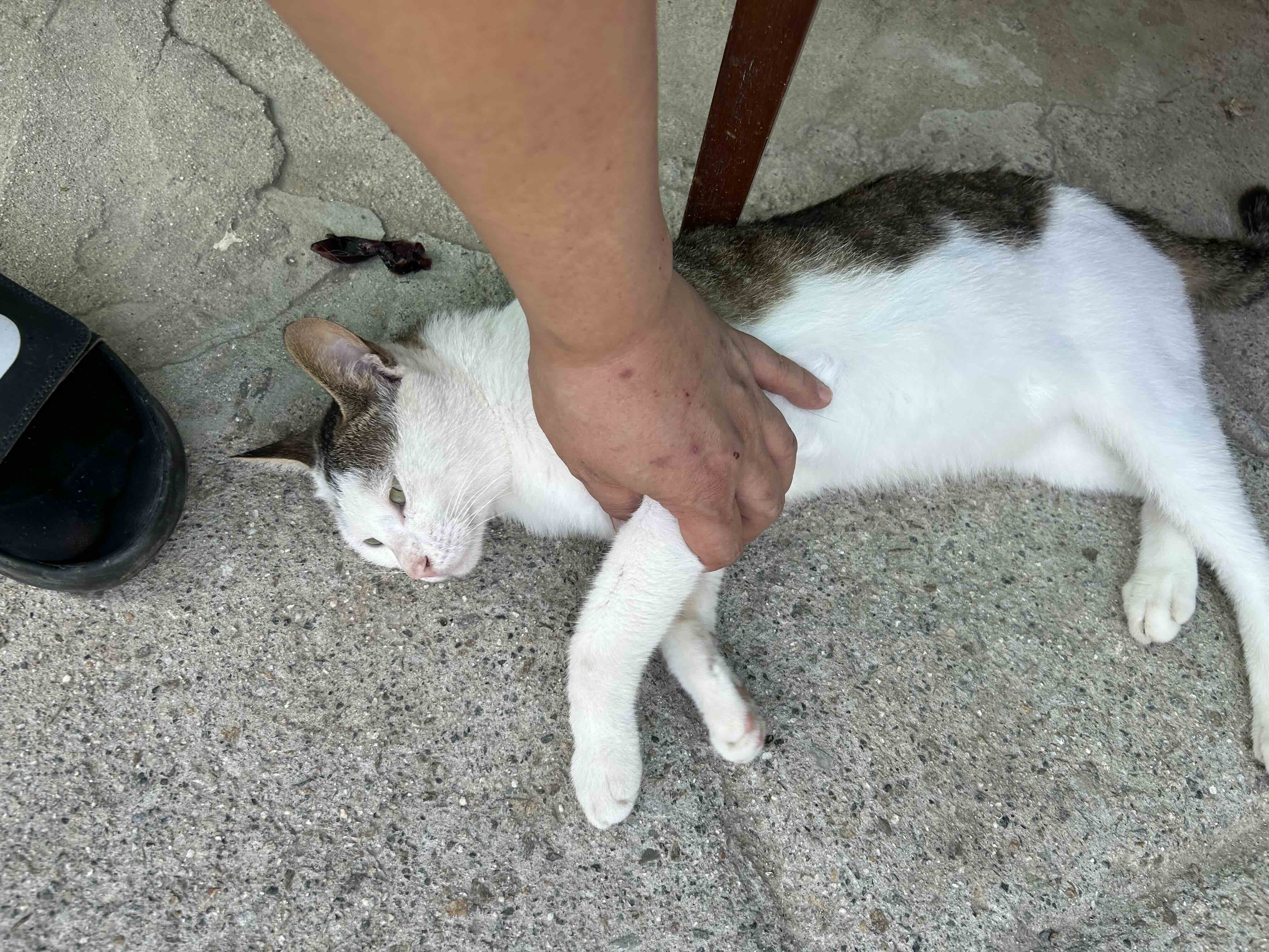 게시글 이미지