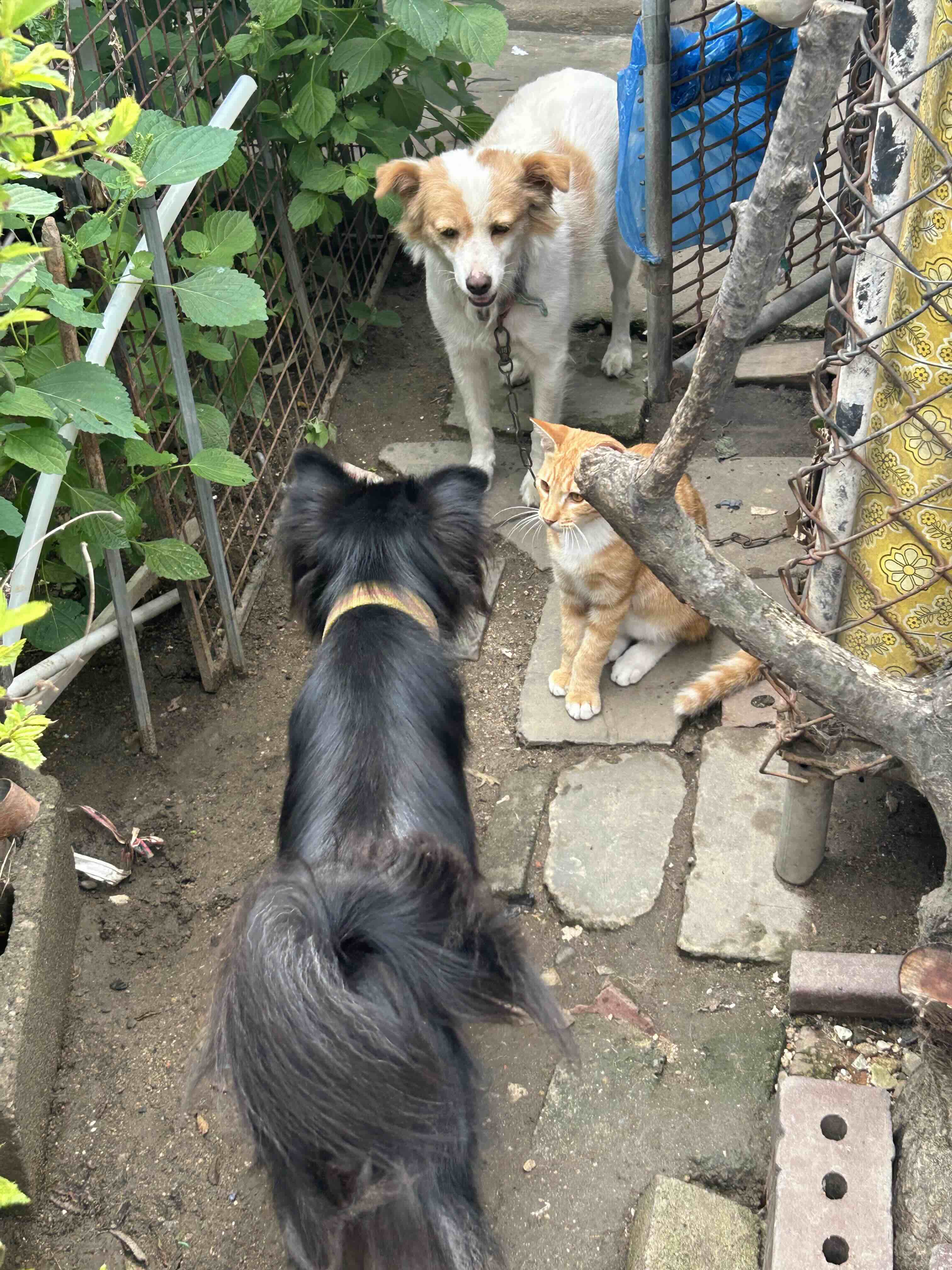 게시글 이미지
