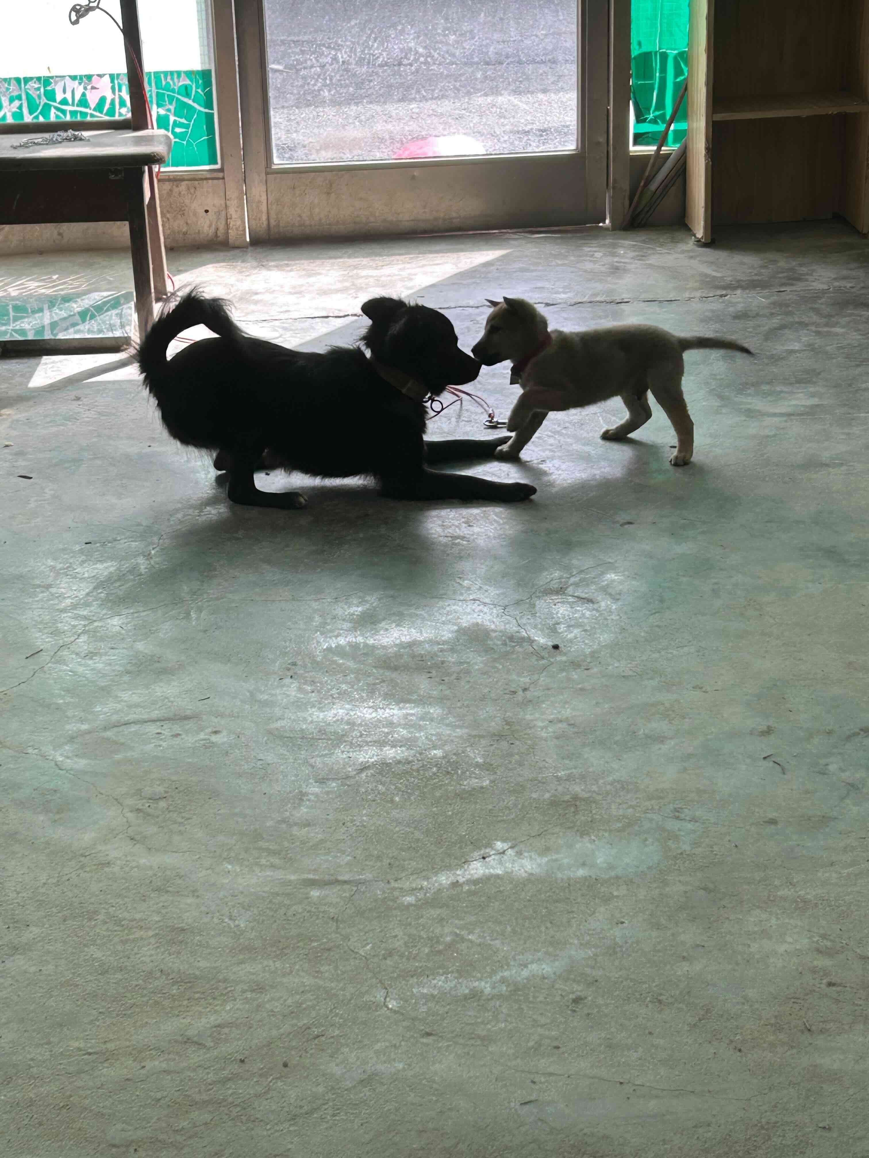 게시글 이미지