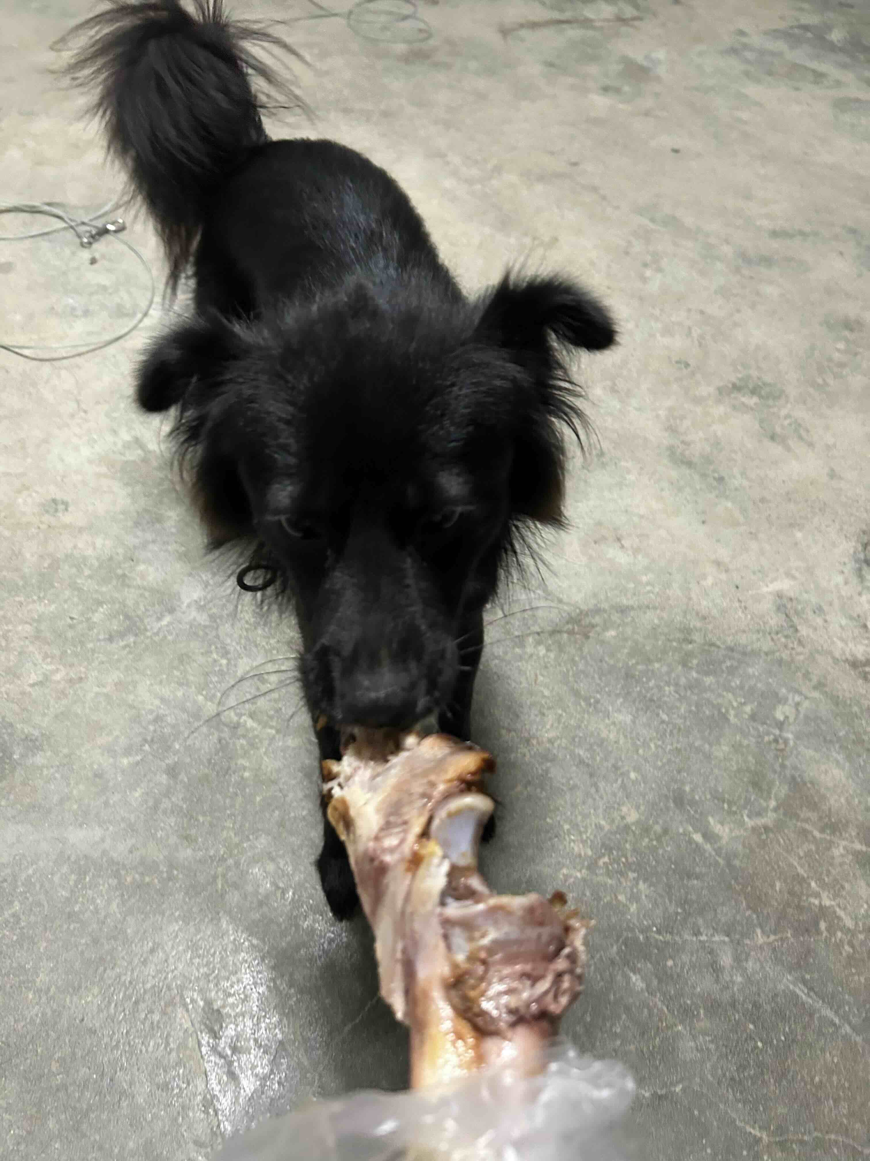 게시글 이미지