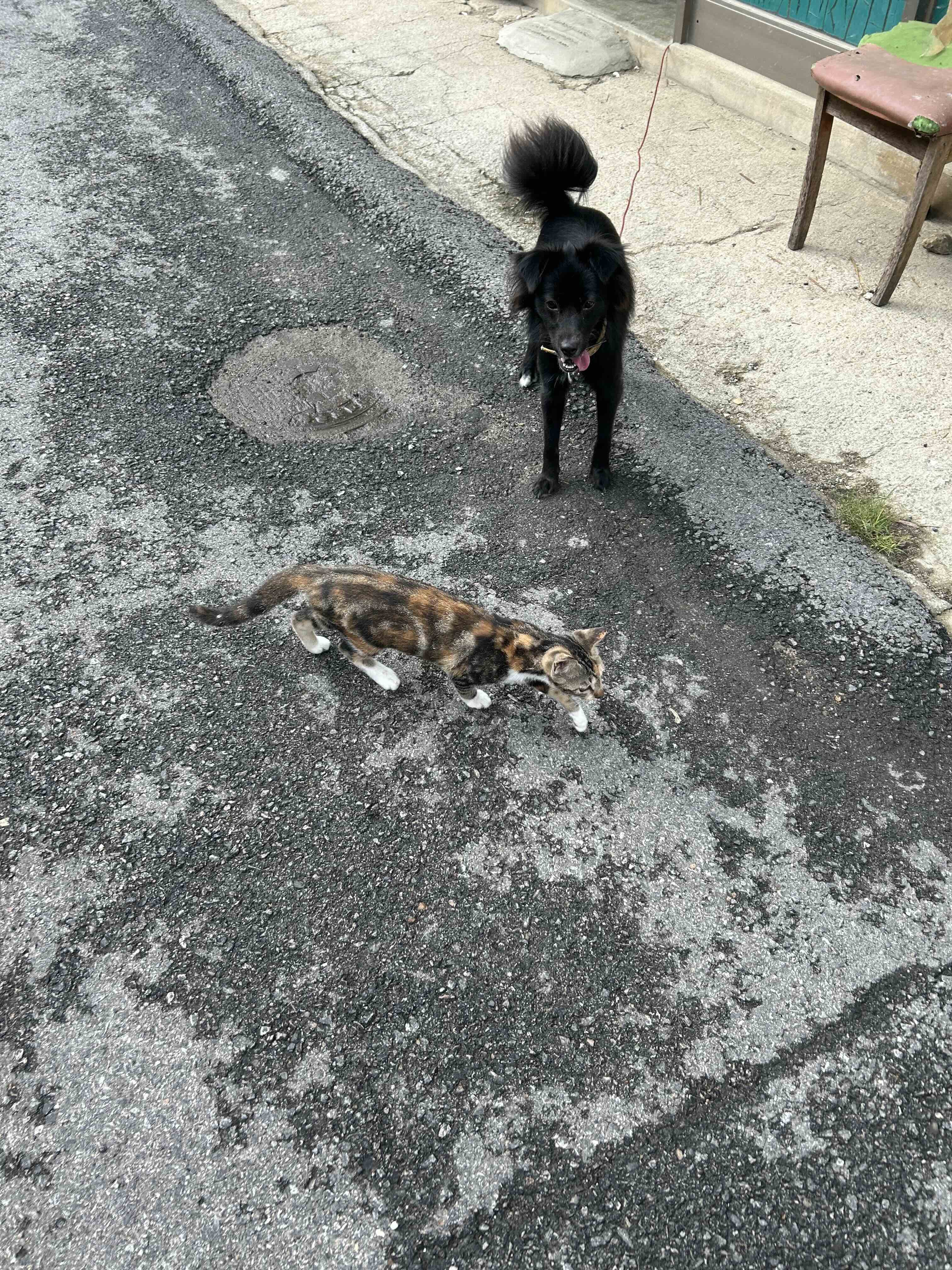 게시글 이미지