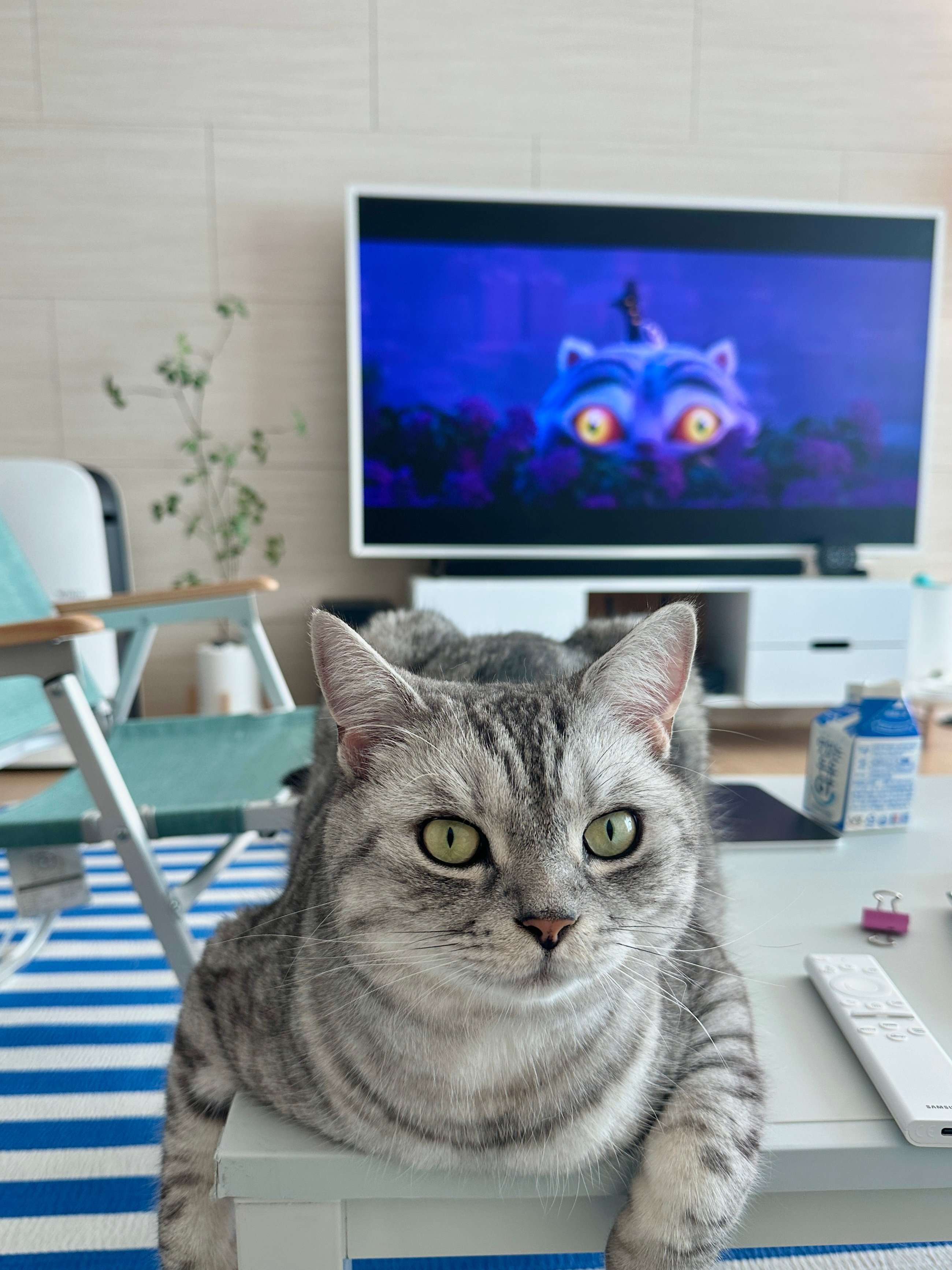 게시글 이미지