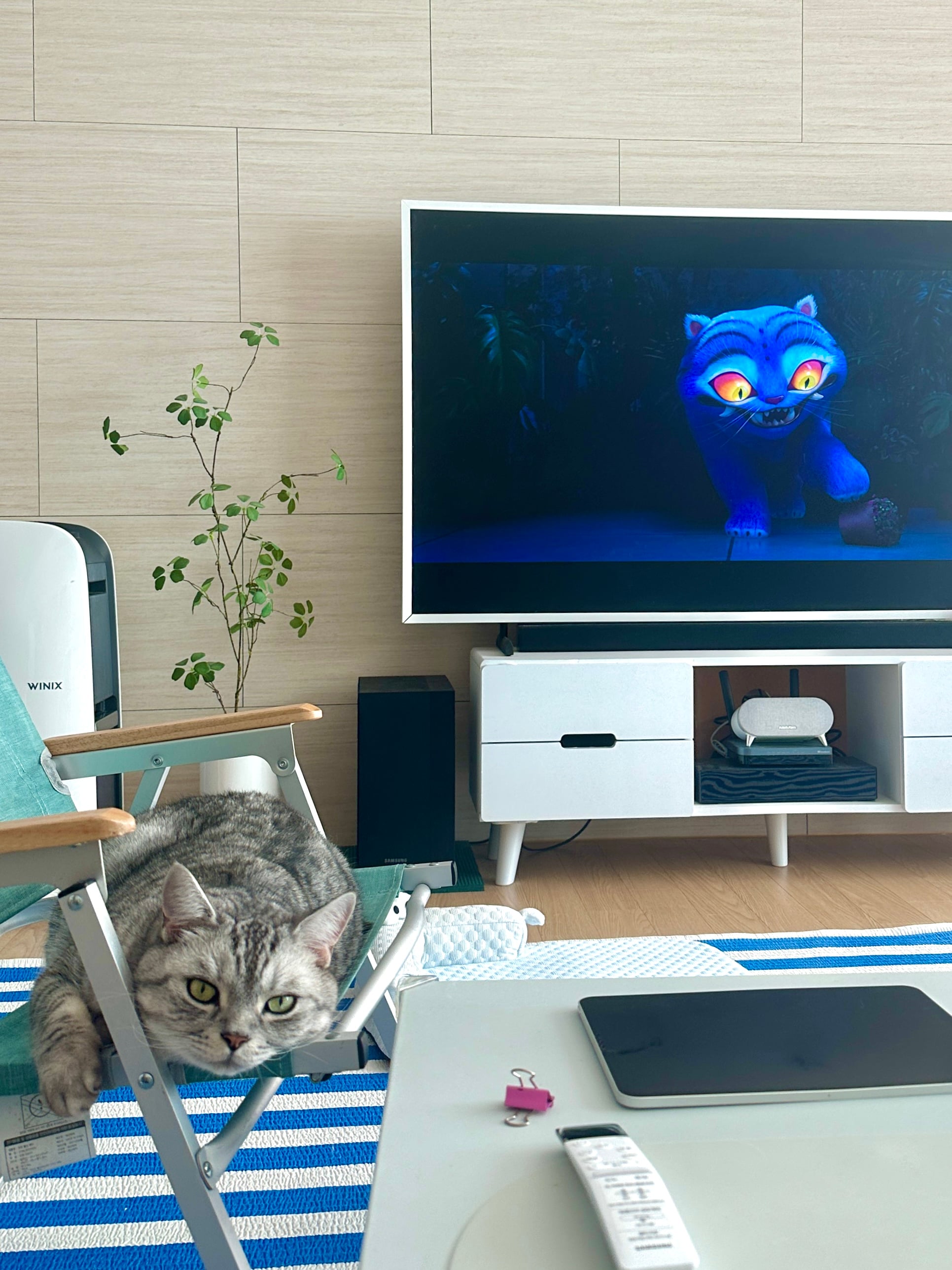 게시글 이미지